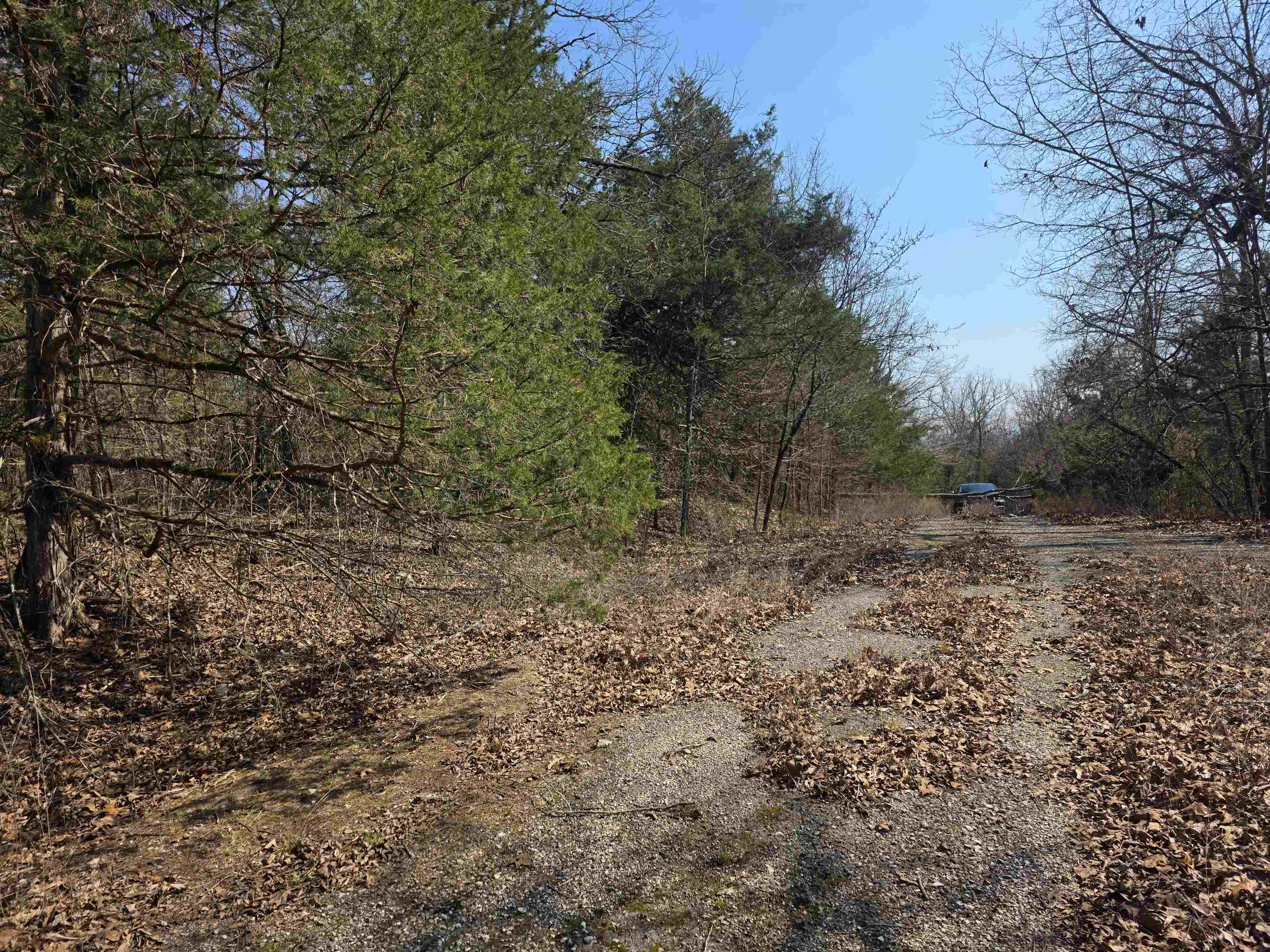 Photo 6 - Vacant Land for sale – L3 B2  Inca   Cherokee Village, AR