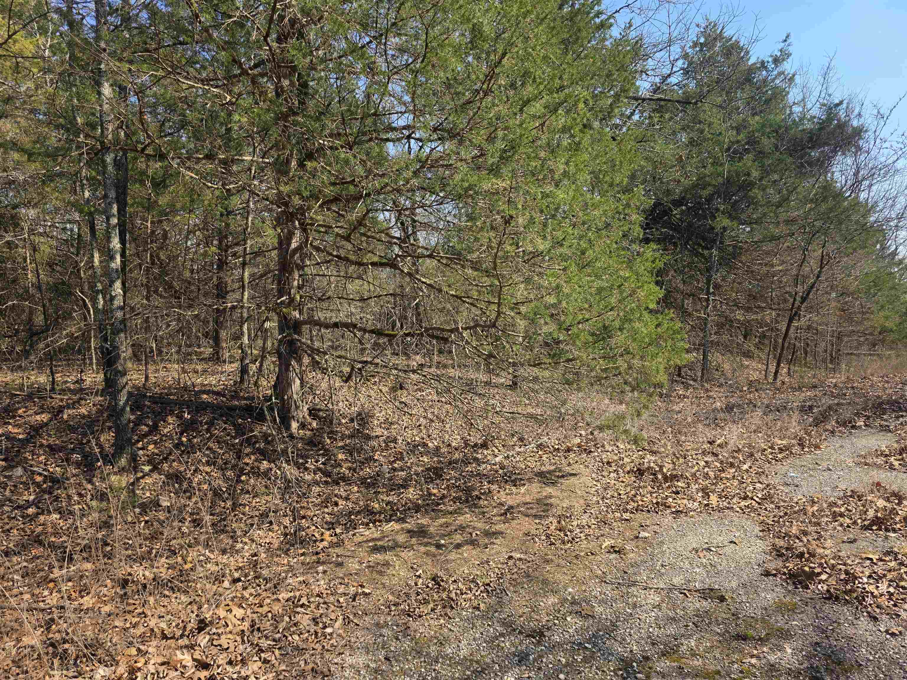 Photo 7 - Vacant Land for sale – L3 B2  Inca   Cherokee Village, AR