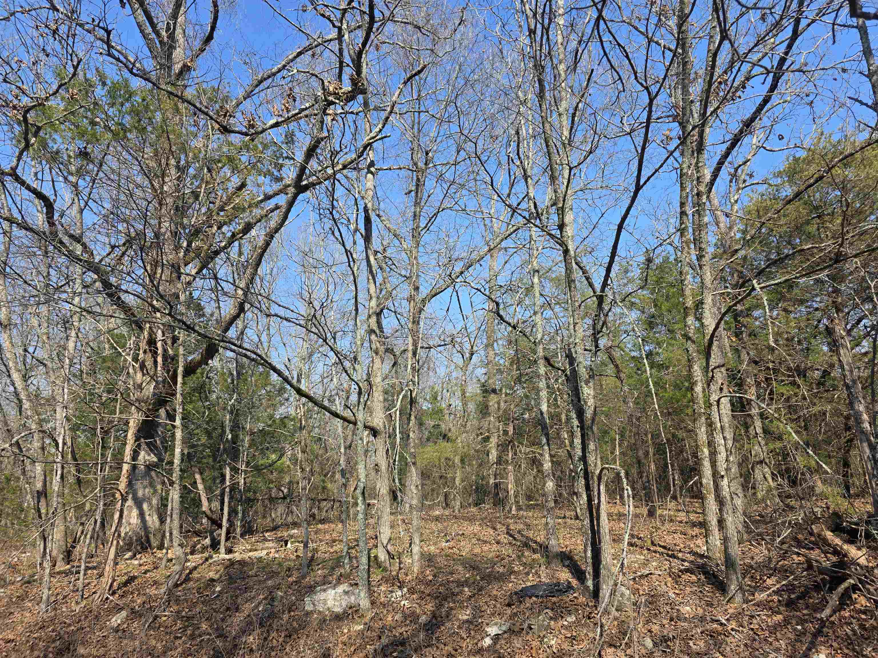 Photo 9 - Vacant Land for sale – L3 B2  Inca   Cherokee Village, AR