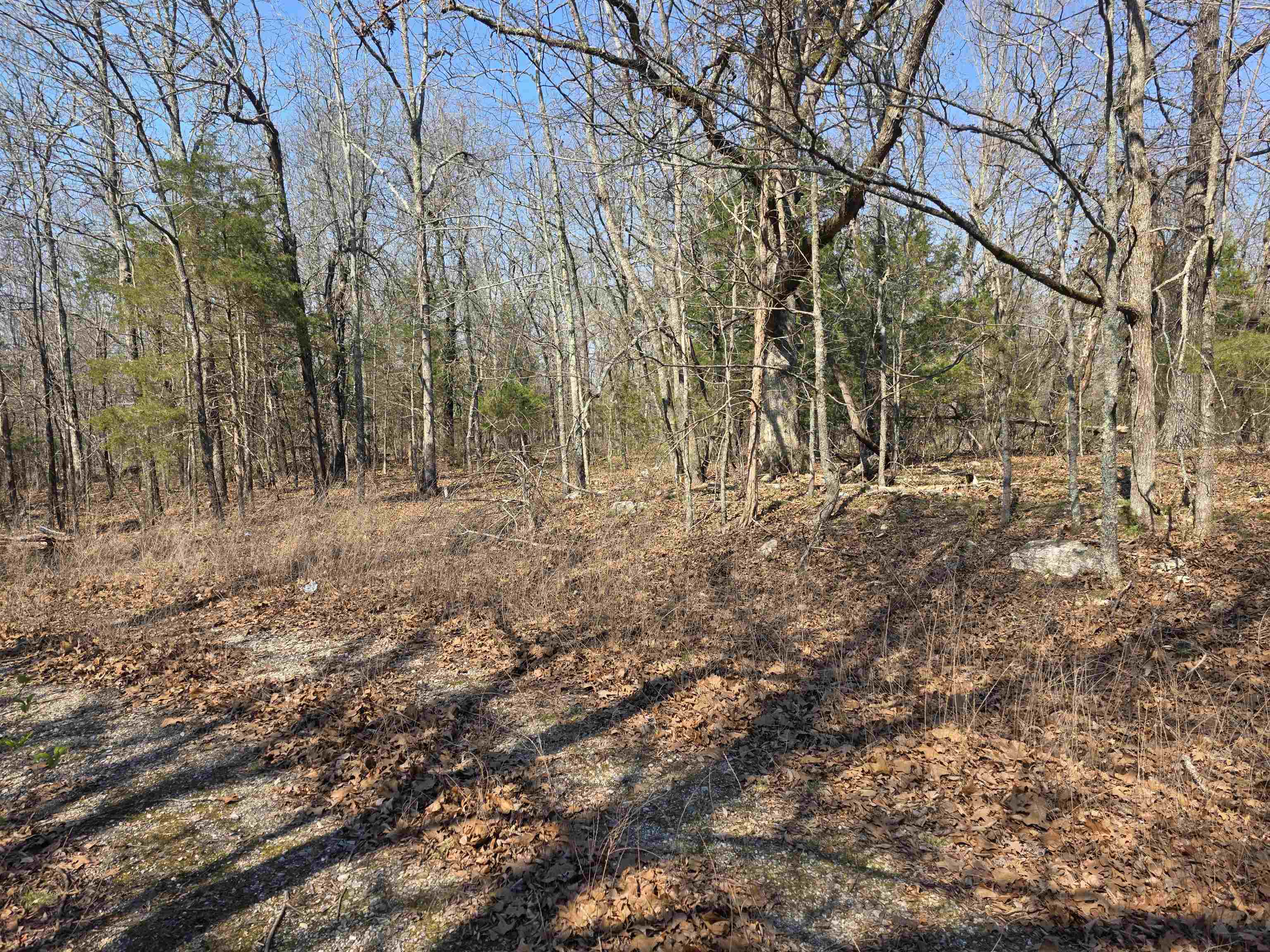 Photo 10 - Vacant Land for sale – L3 B2  Inca   Cherokee Village, AR