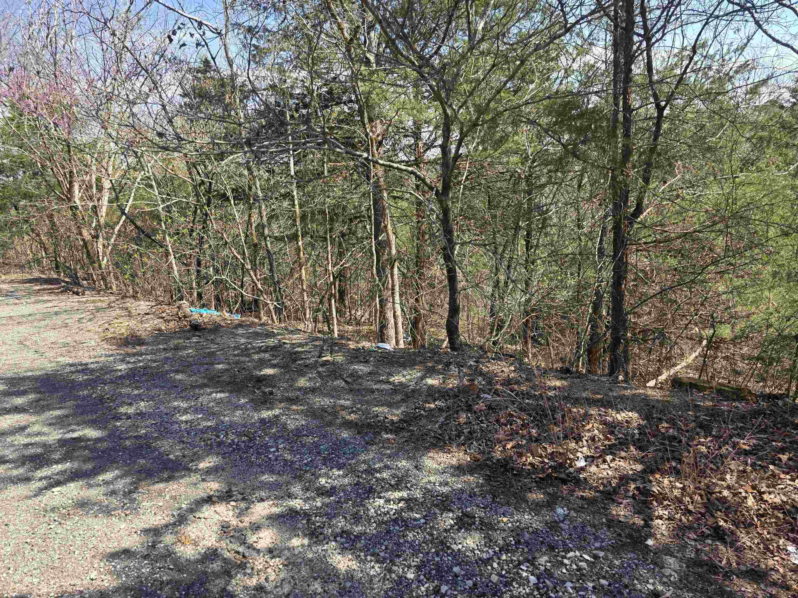 Photo 4 - Vacant Land for sale – L24 B6  Chief Day Break   Cherokee Village, AR