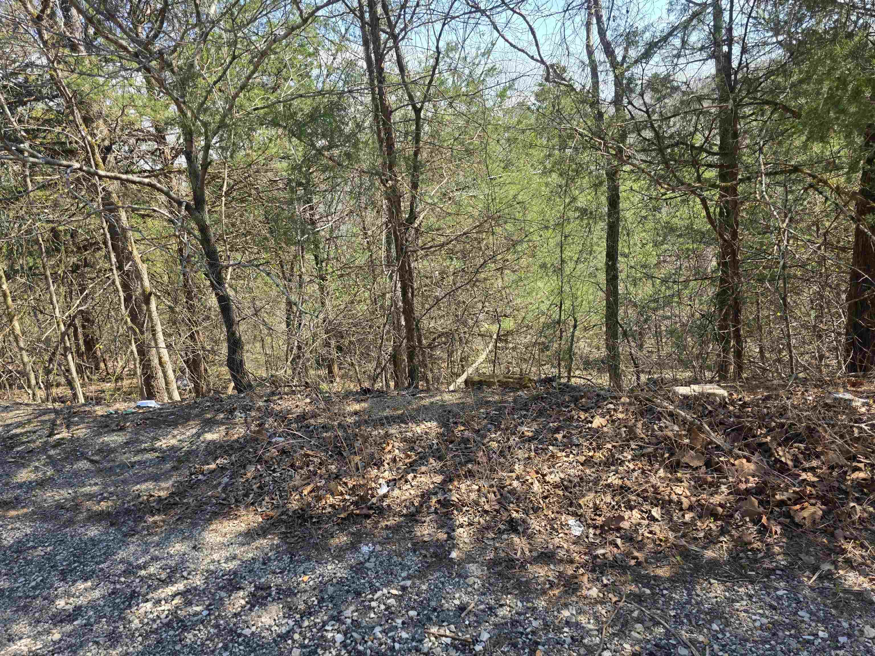 Photo 5 - Vacant Land for sale – L24 B6  Chief Day Break   Cherokee Village, AR