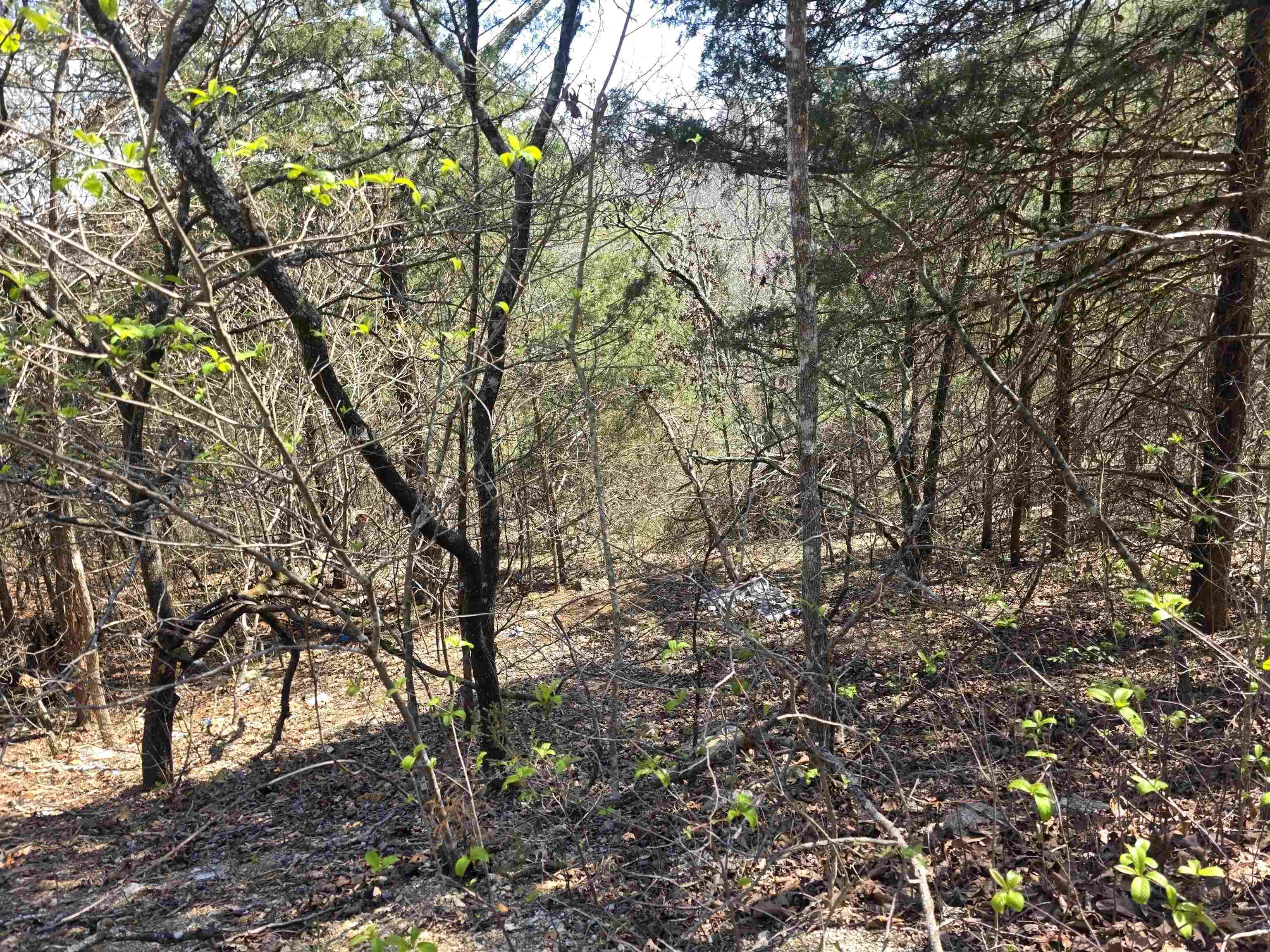 Photo 7 - Vacant Land for sale – L24 B6  Chief Day Break   Cherokee Village, AR