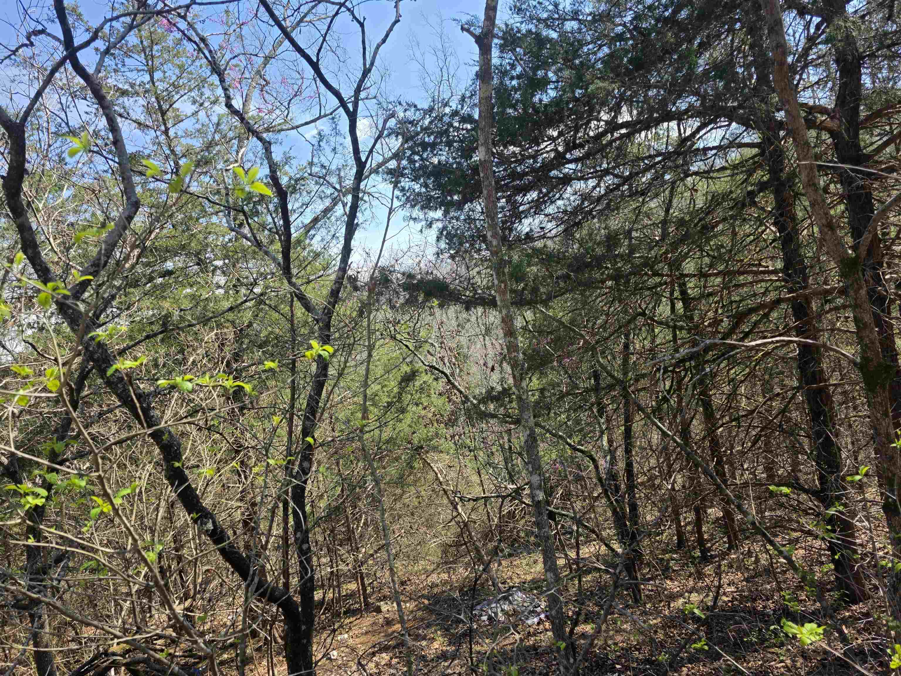 Photo 9 - Vacant Land for sale – L24 B6  Chief Day Break   Cherokee Village, AR