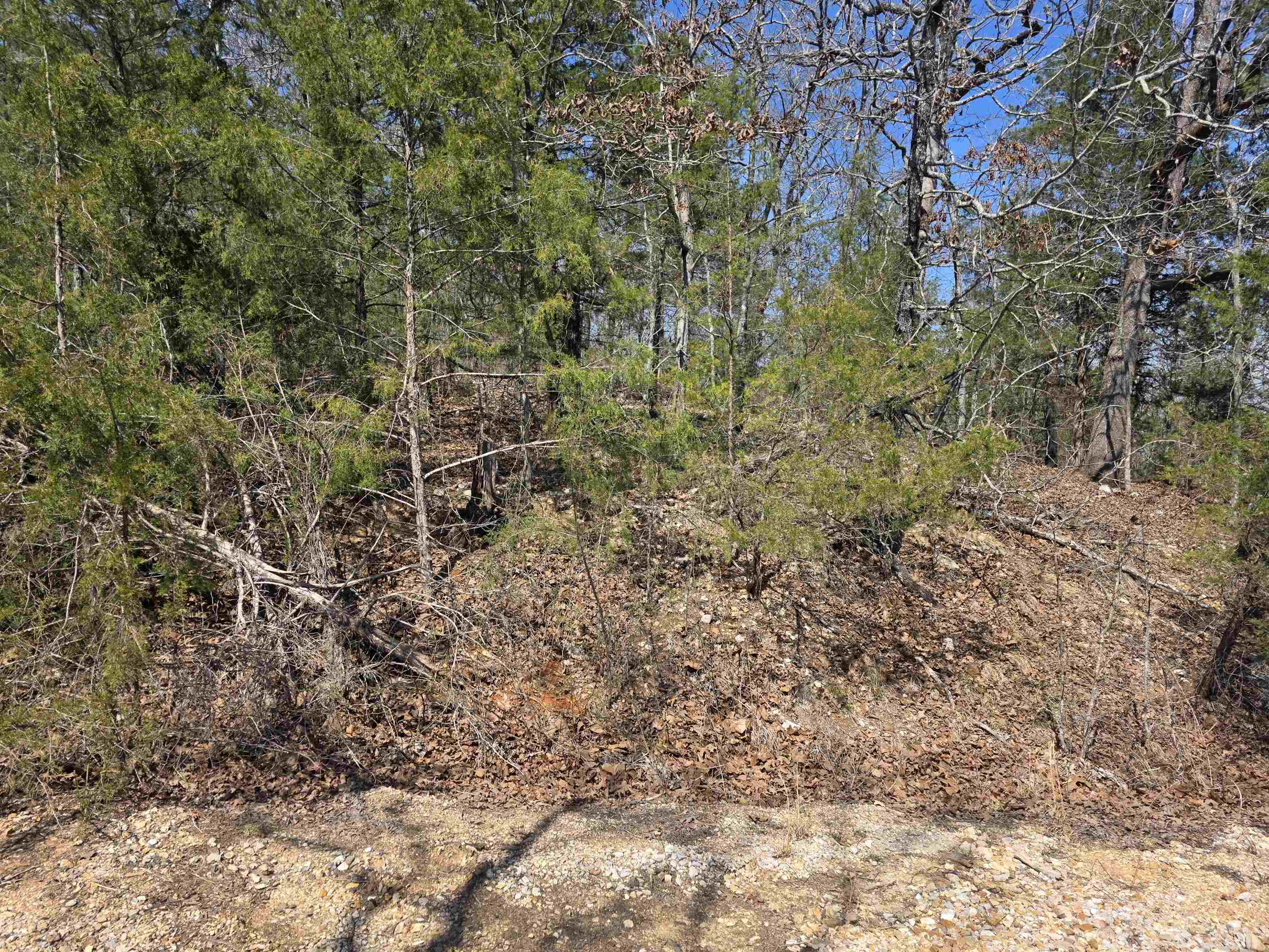 Vacant Land for sale – L52 B2  Chief Day Break   Cherokee Village, AR