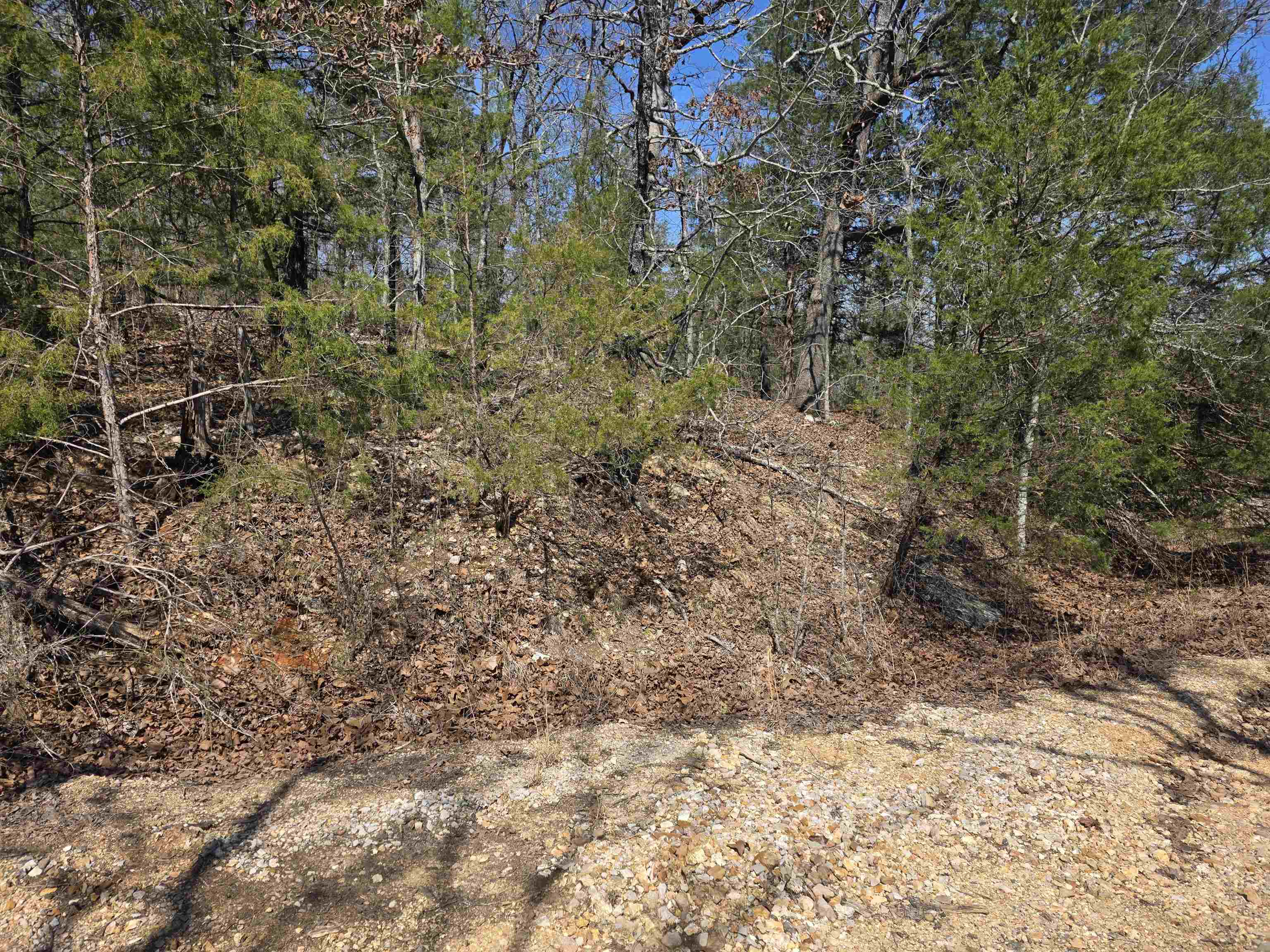 Photo 2 - Vacant Land for sale – L52 B2  Chief Day Break   Cherokee Village, AR