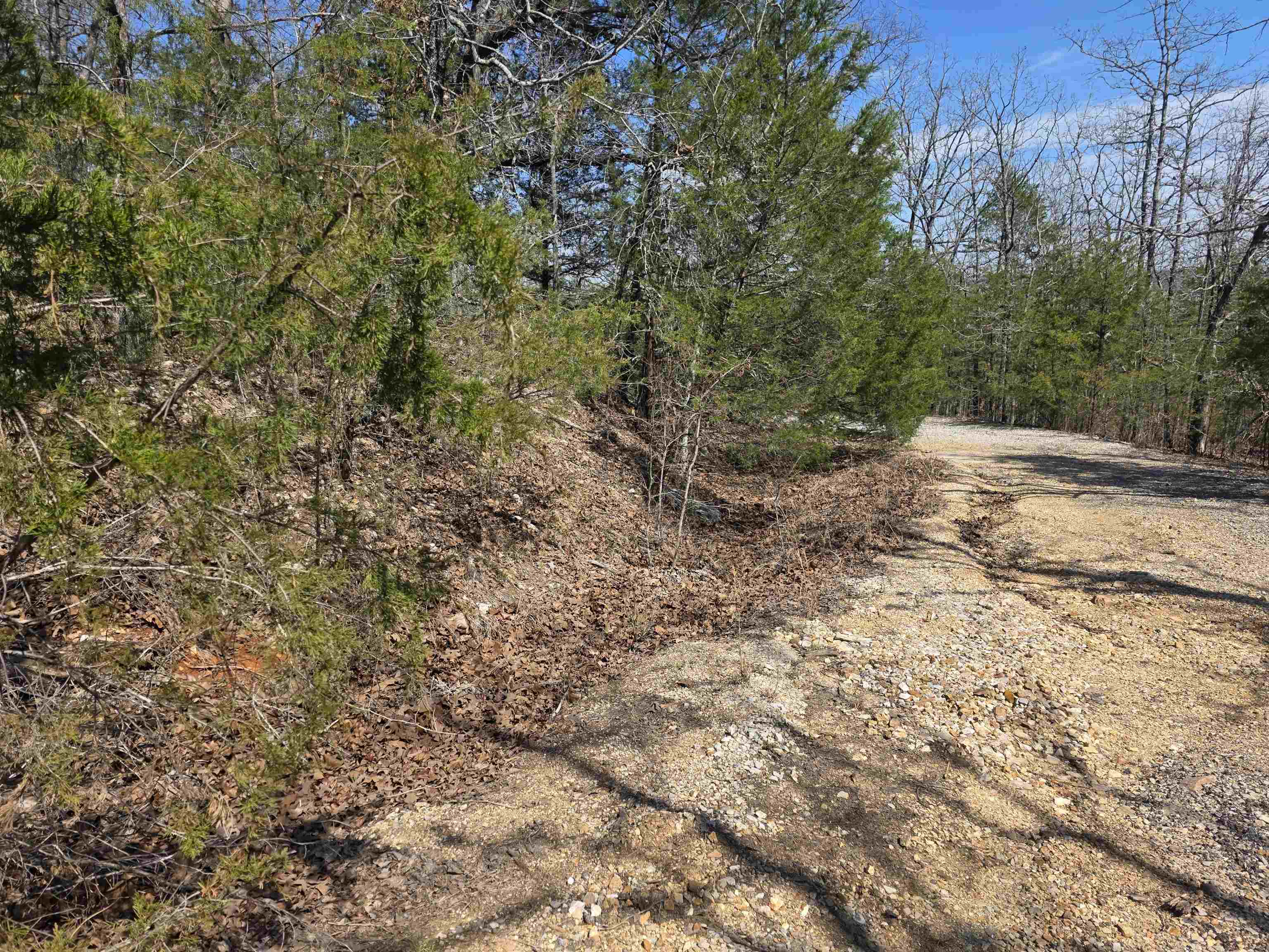 Photo 3 - Vacant Land for sale – L52 B2  Chief Day Break   Cherokee Village, AR