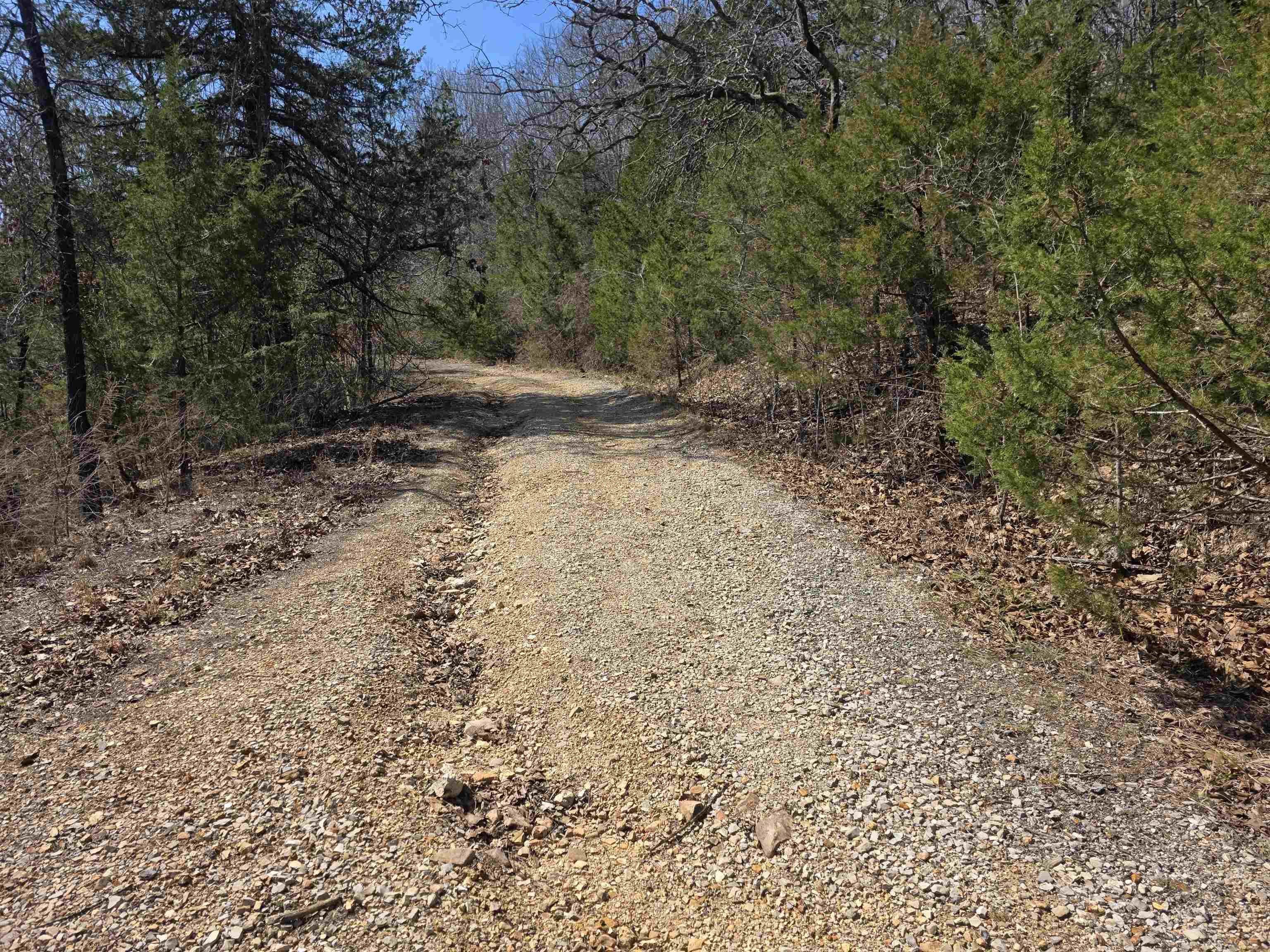 Photo 4 - Vacant Land for sale – L52 B2  Chief Day Break   Cherokee Village, AR