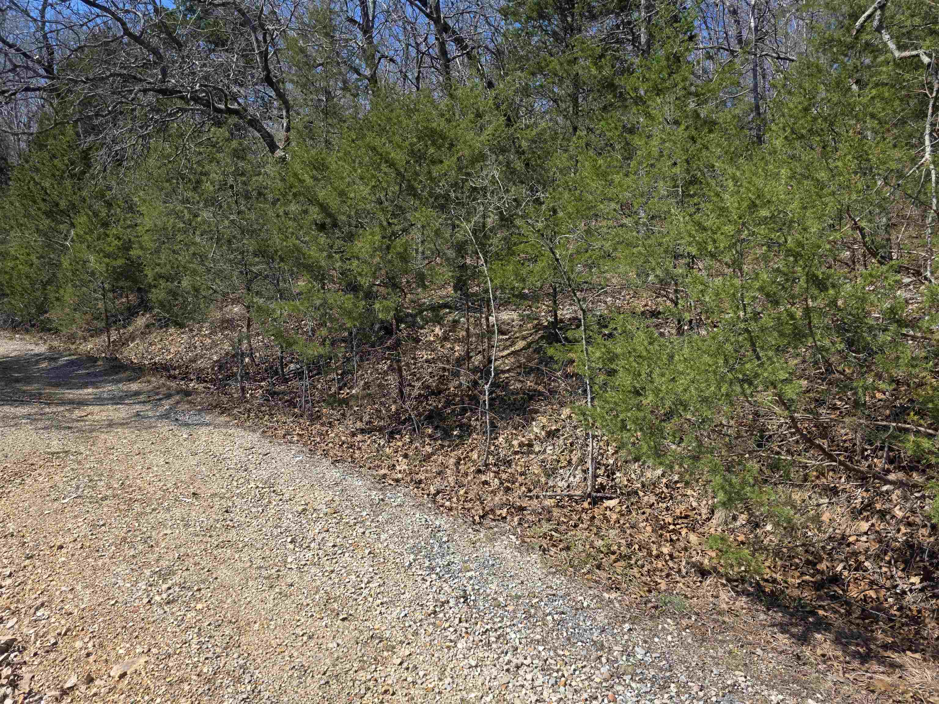 Photo 5 - Vacant Land for sale – L52 B2  Chief Day Break   Cherokee Village, AR