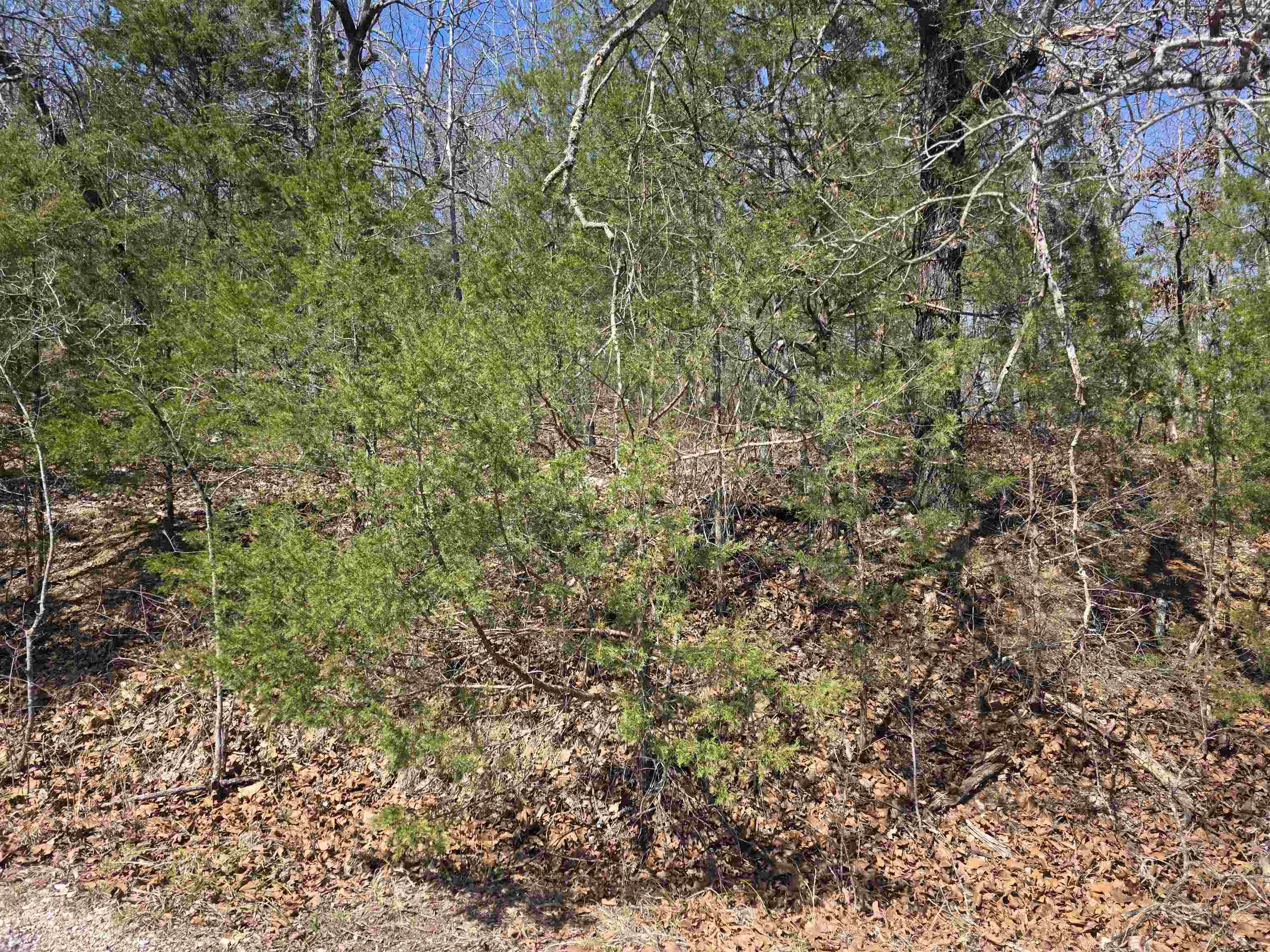 Photo 6 - Vacant Land for sale – L52 B2  Chief Day Break   Cherokee Village, AR
