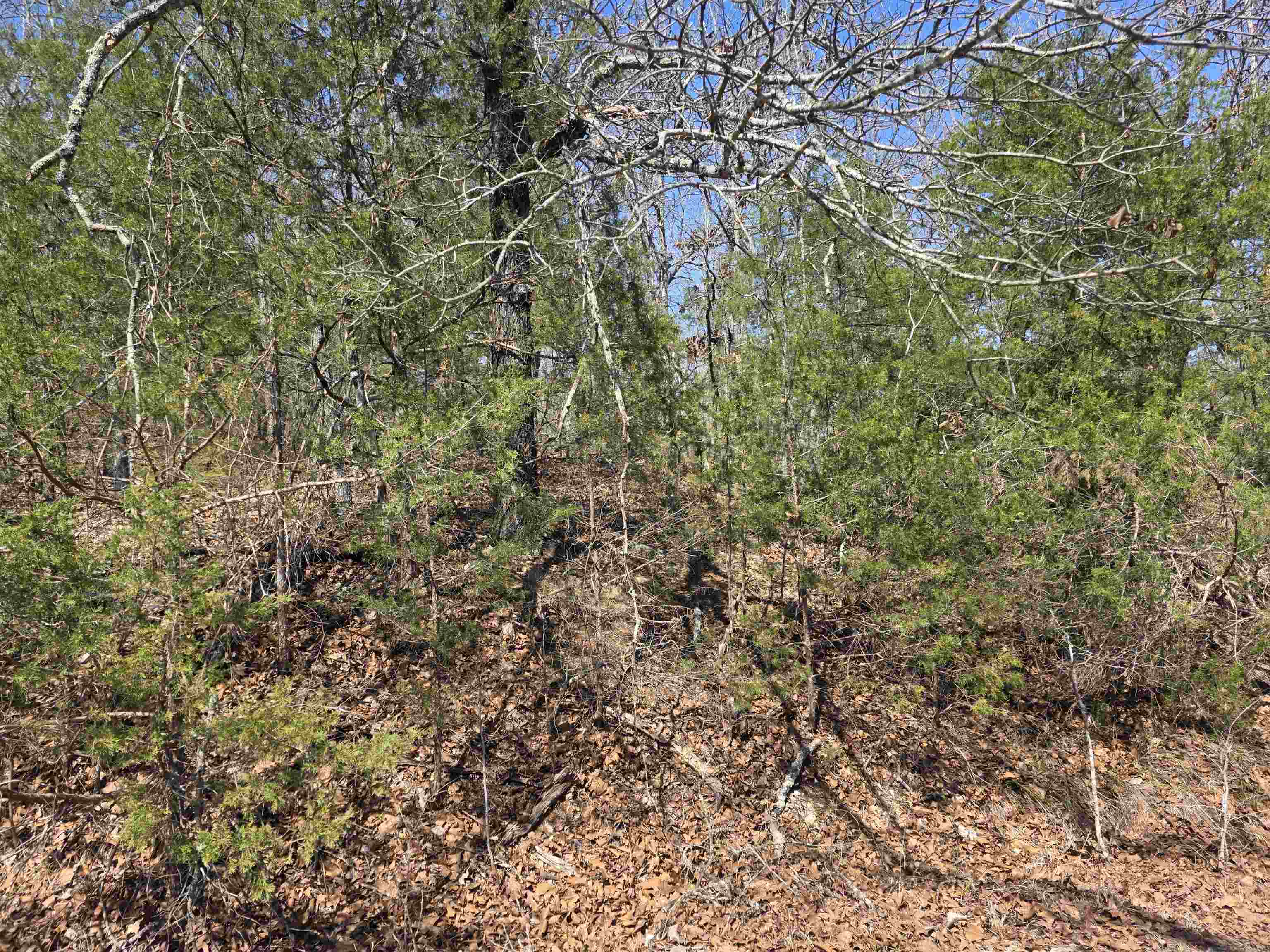 Photo 7 - Vacant Land for sale – L52 B2  Chief Day Break   Cherokee Village, AR