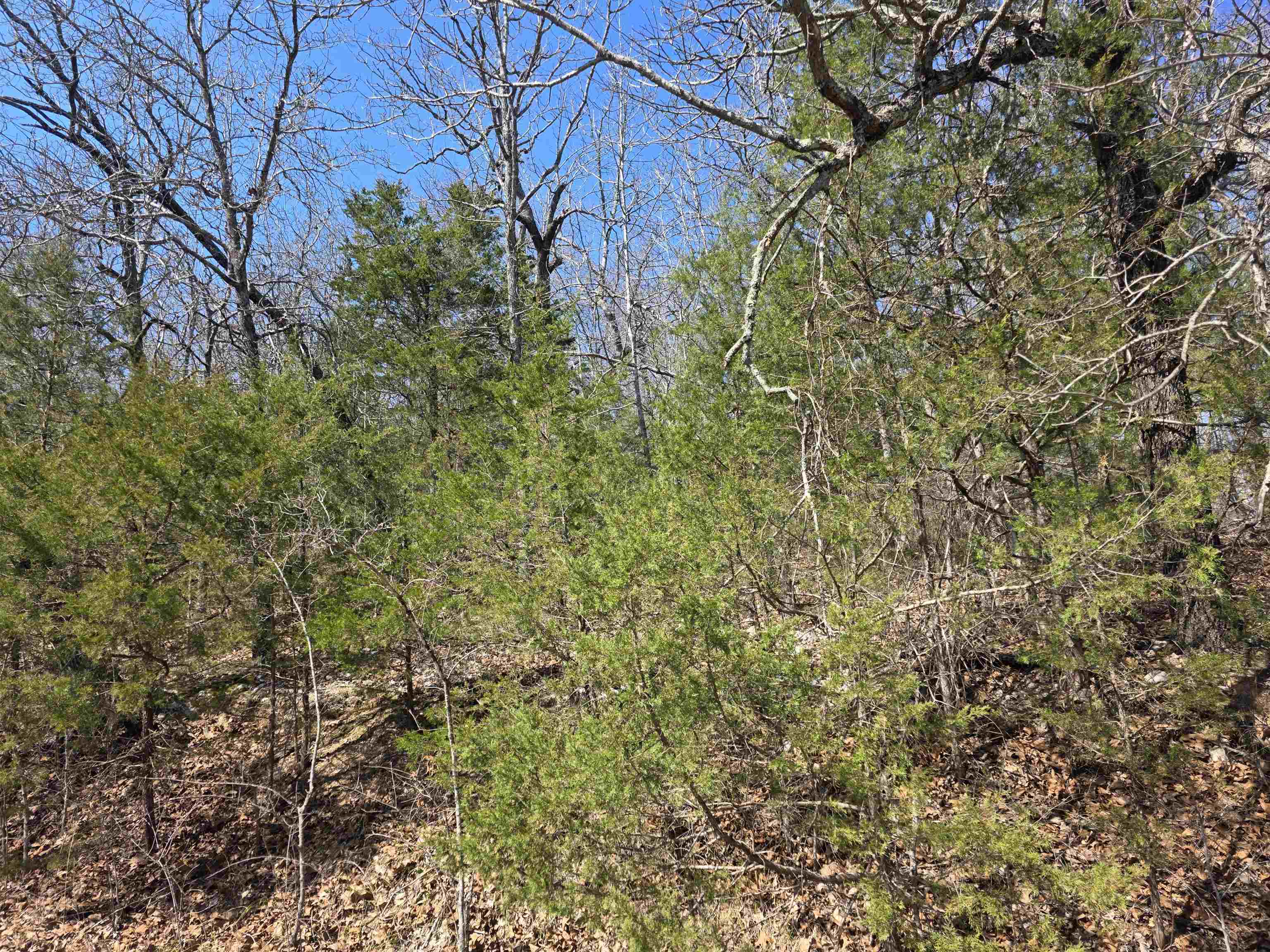 Photo 8 - Vacant Land for sale – L52 B2  Chief Day Break   Cherokee Village, AR