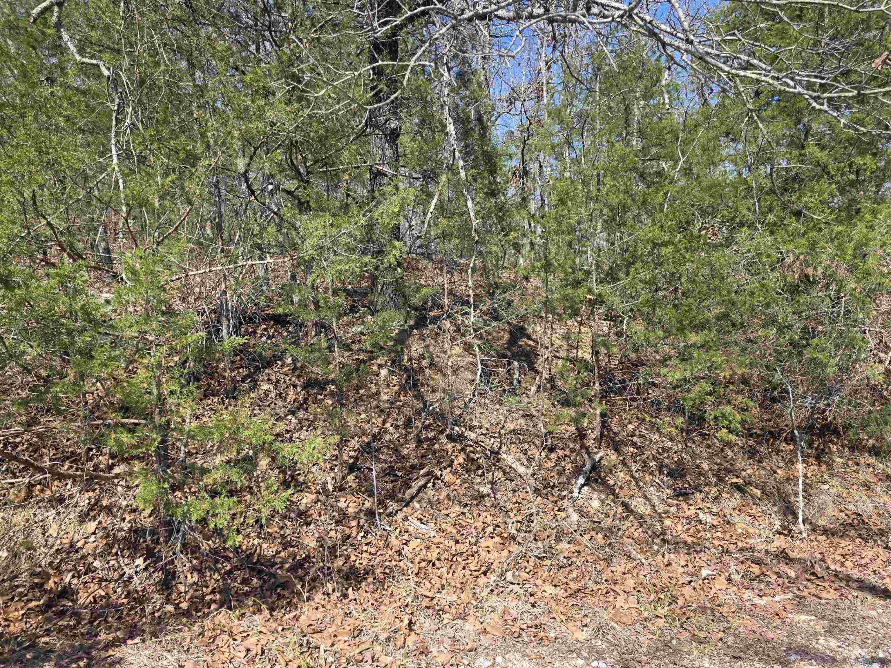 Photo 10 - Vacant Land for sale – L52 B2  Chief Day Break   Cherokee Village, AR