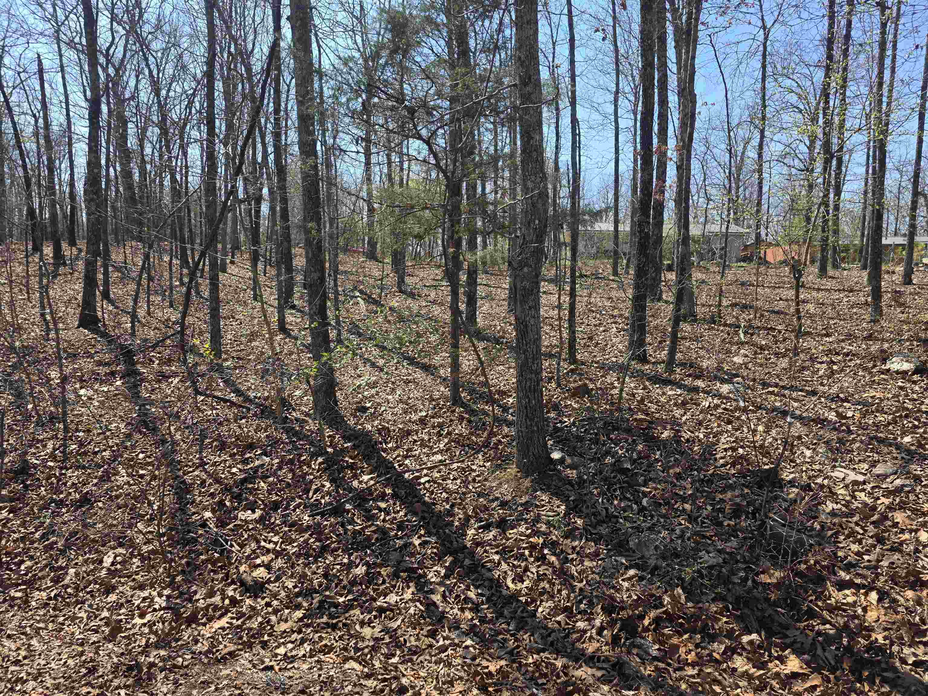 Vacant Land for sale – L12 B5  Deer Run   Cherokee Village, AR