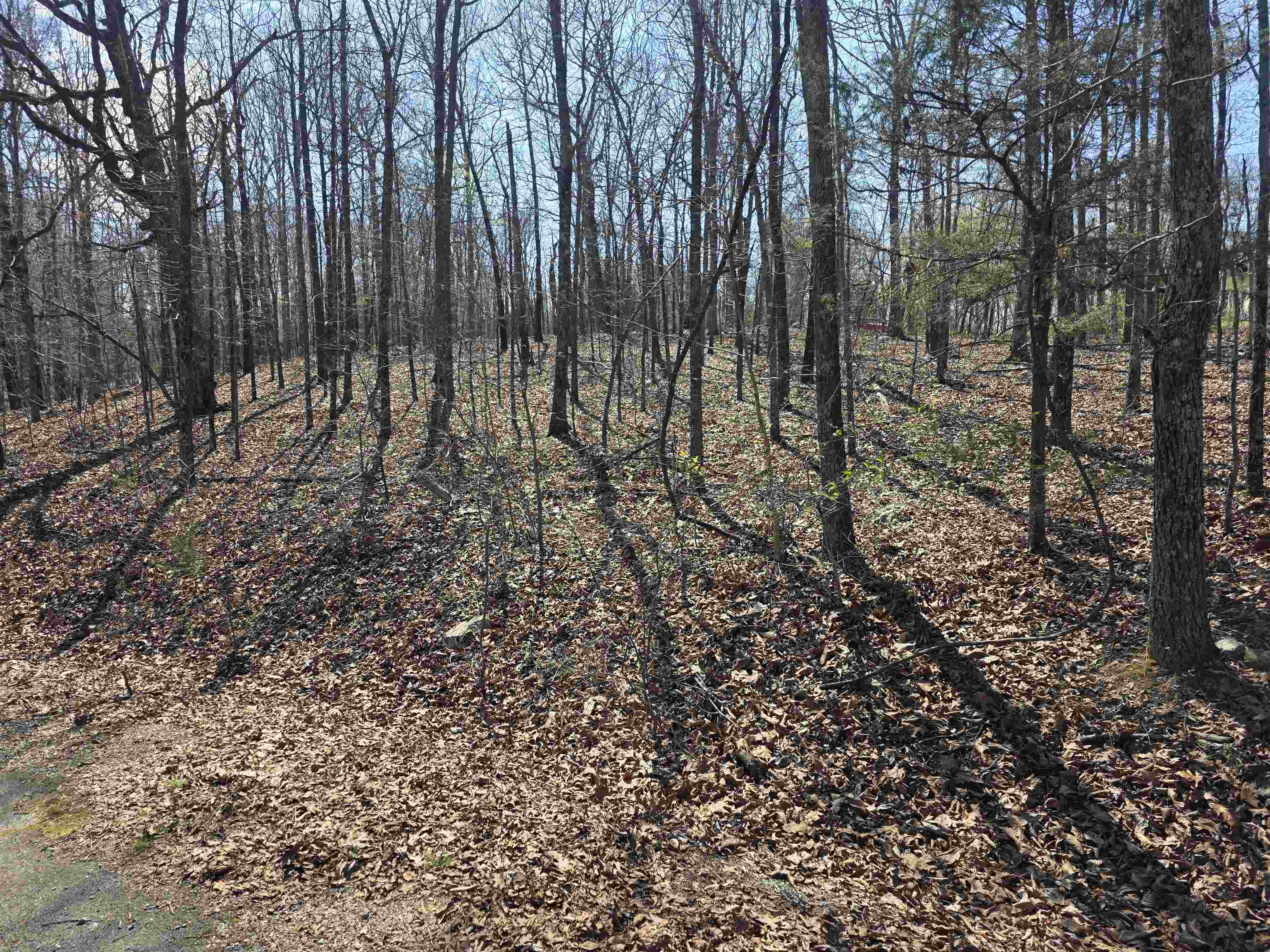 Photo 2 - Vacant Land for sale – L12 B5  Deer Run   Cherokee Village, AR