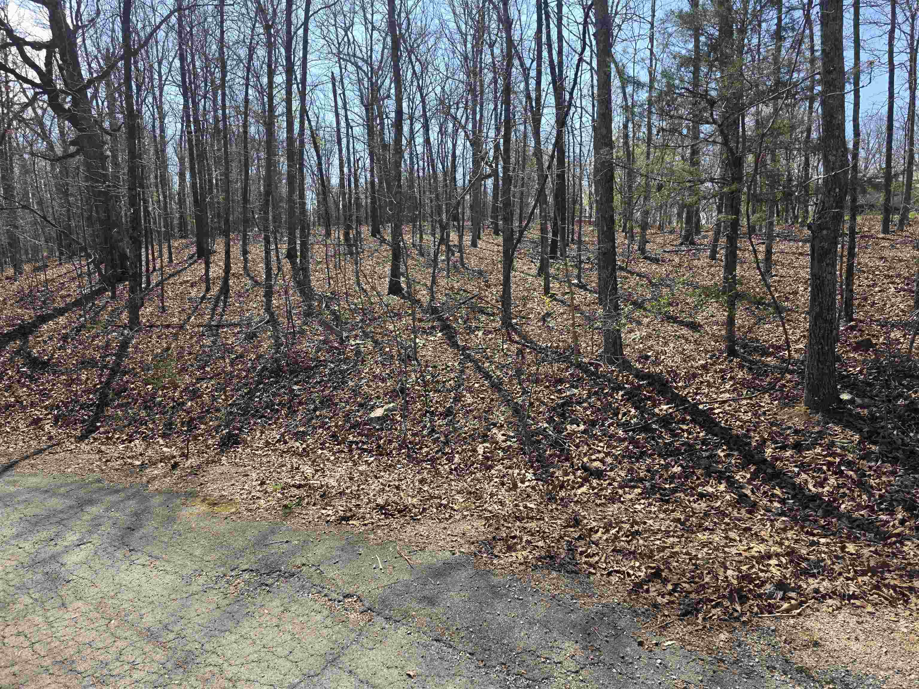Photo 3 - Vacant Land for sale – L12 B5  Deer Run   Cherokee Village, AR