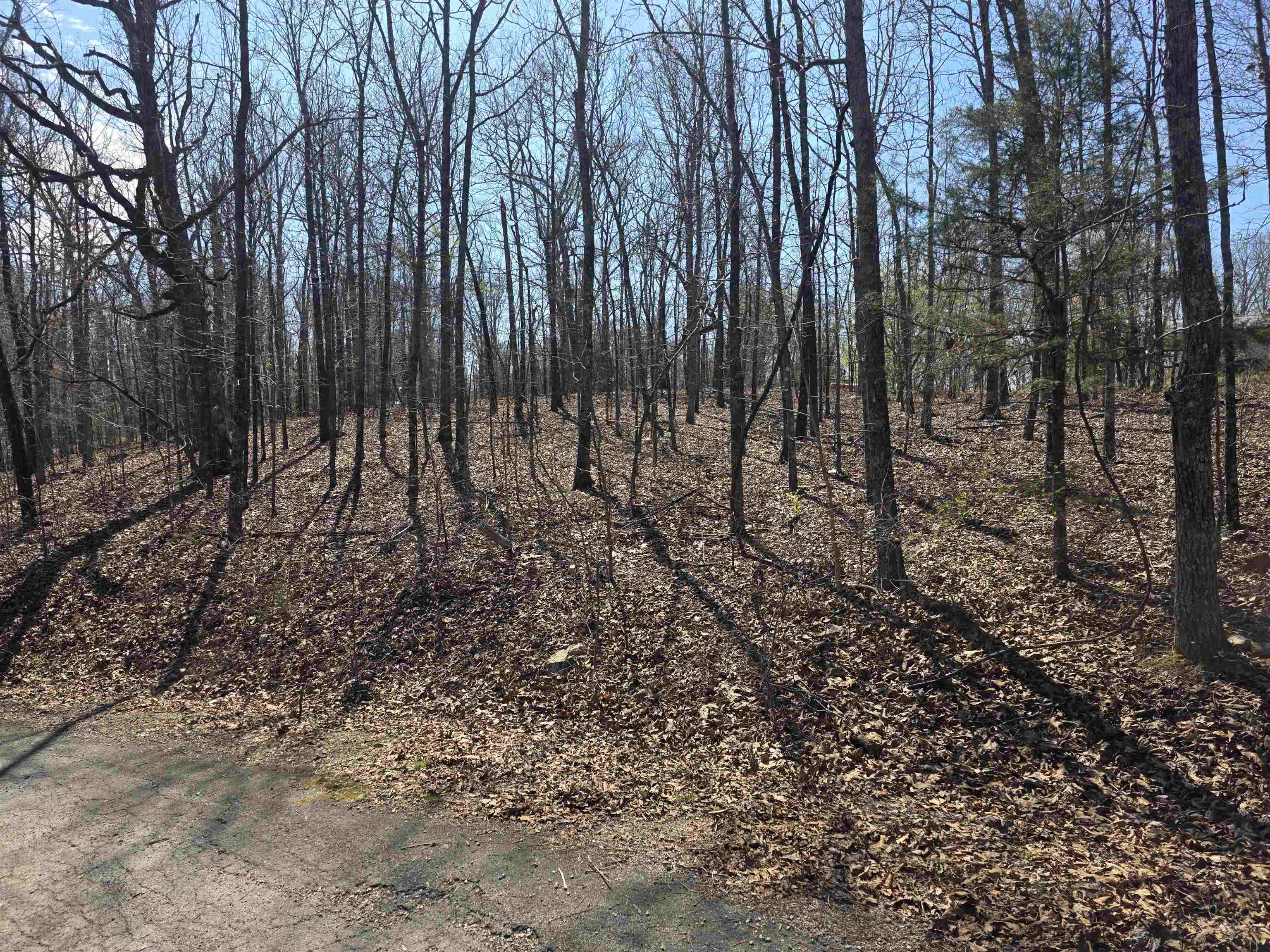 Photo 4 - Vacant Land for sale – L12 B5  Deer Run   Cherokee Village, AR