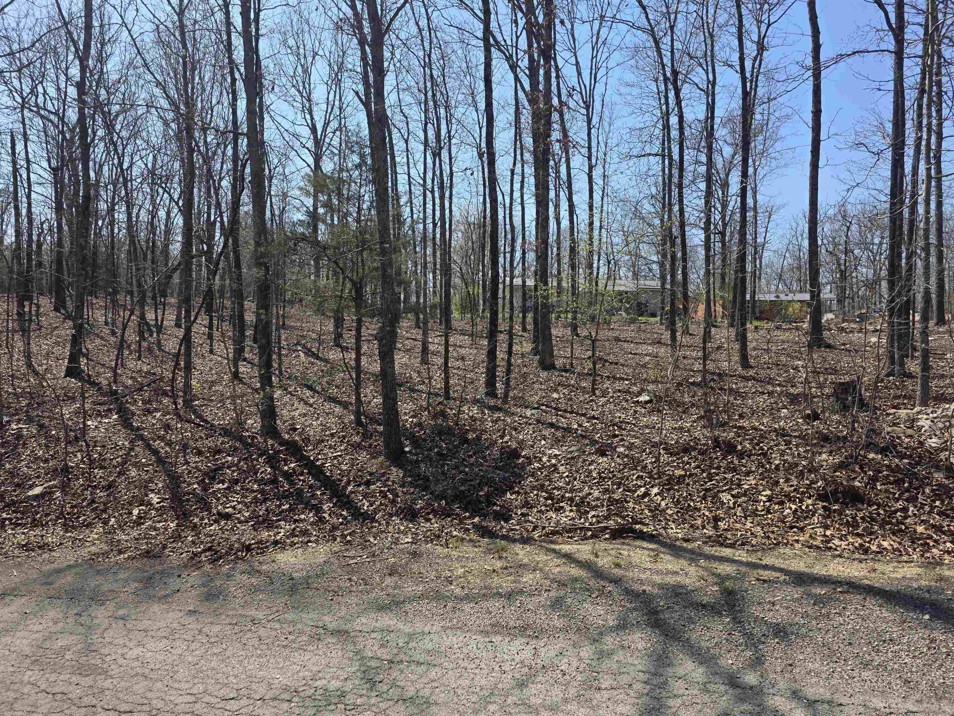 Photo 5 - Vacant Land for sale – L12 B5  Deer Run   Cherokee Village, AR