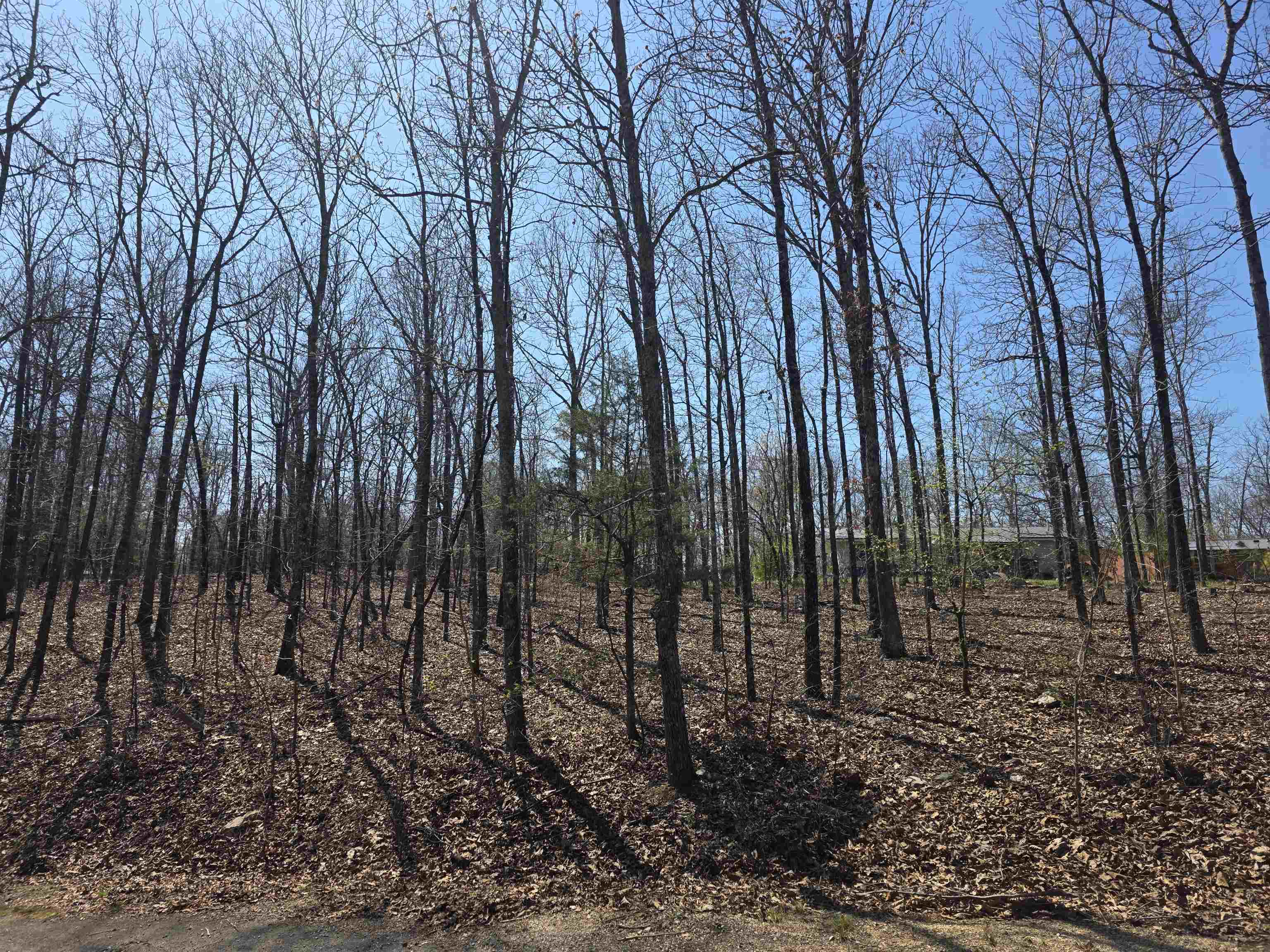 Photo 6 - Vacant Land for sale – L12 B5  Deer Run   Cherokee Village, AR