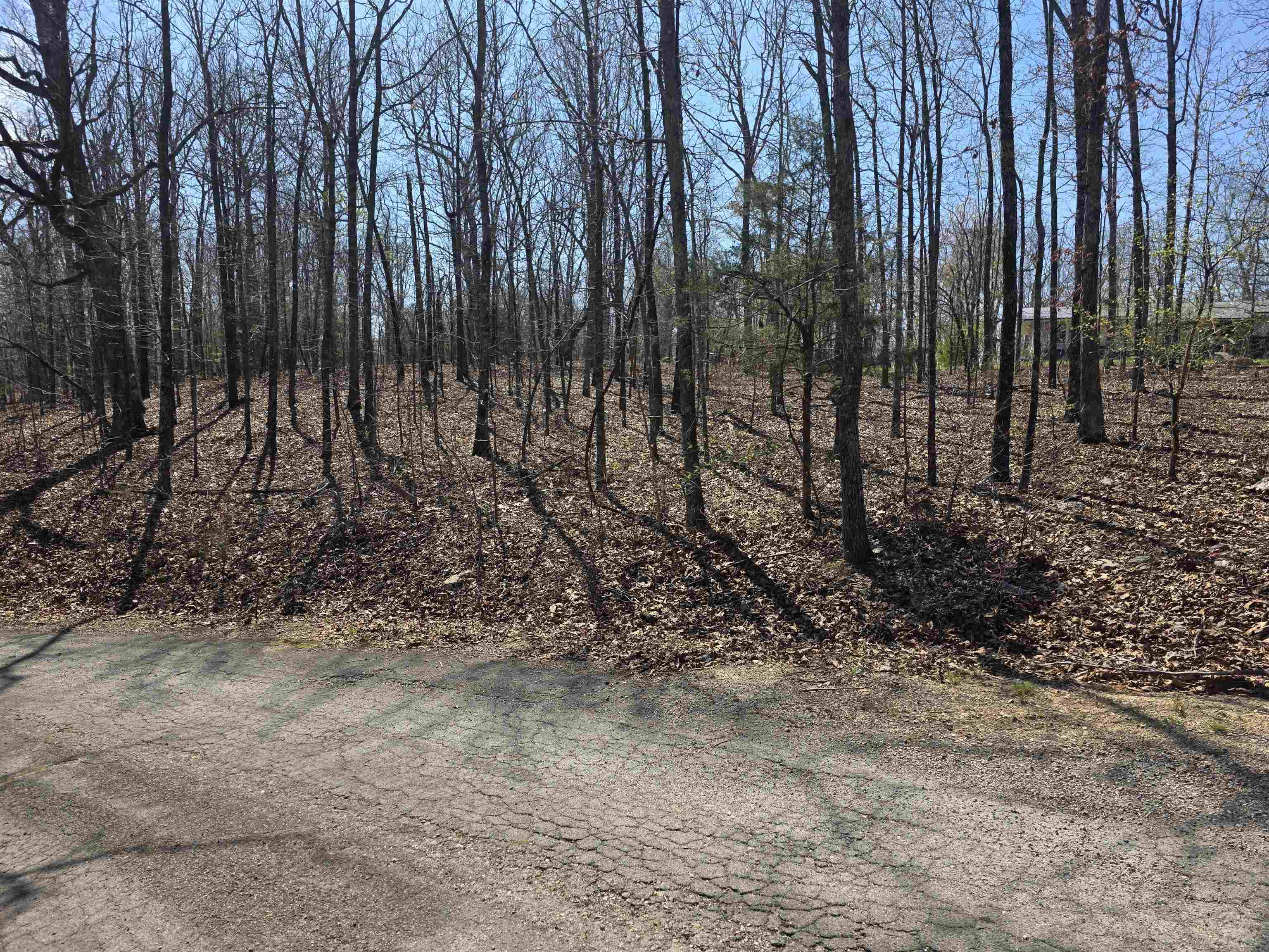 Photo 8 - Vacant Land for sale – L12 B5  Deer Run   Cherokee Village, AR