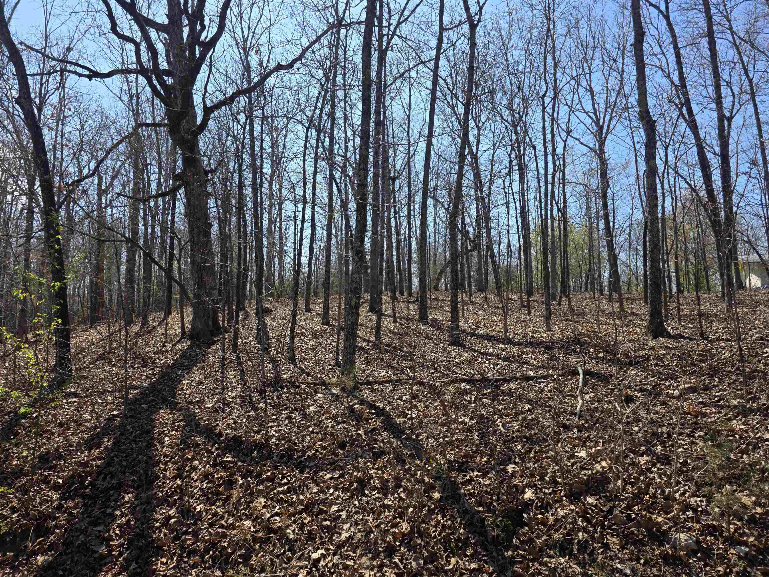 Photo 9 - Vacant Land for sale – L12 B5  Deer Run   Cherokee Village, AR