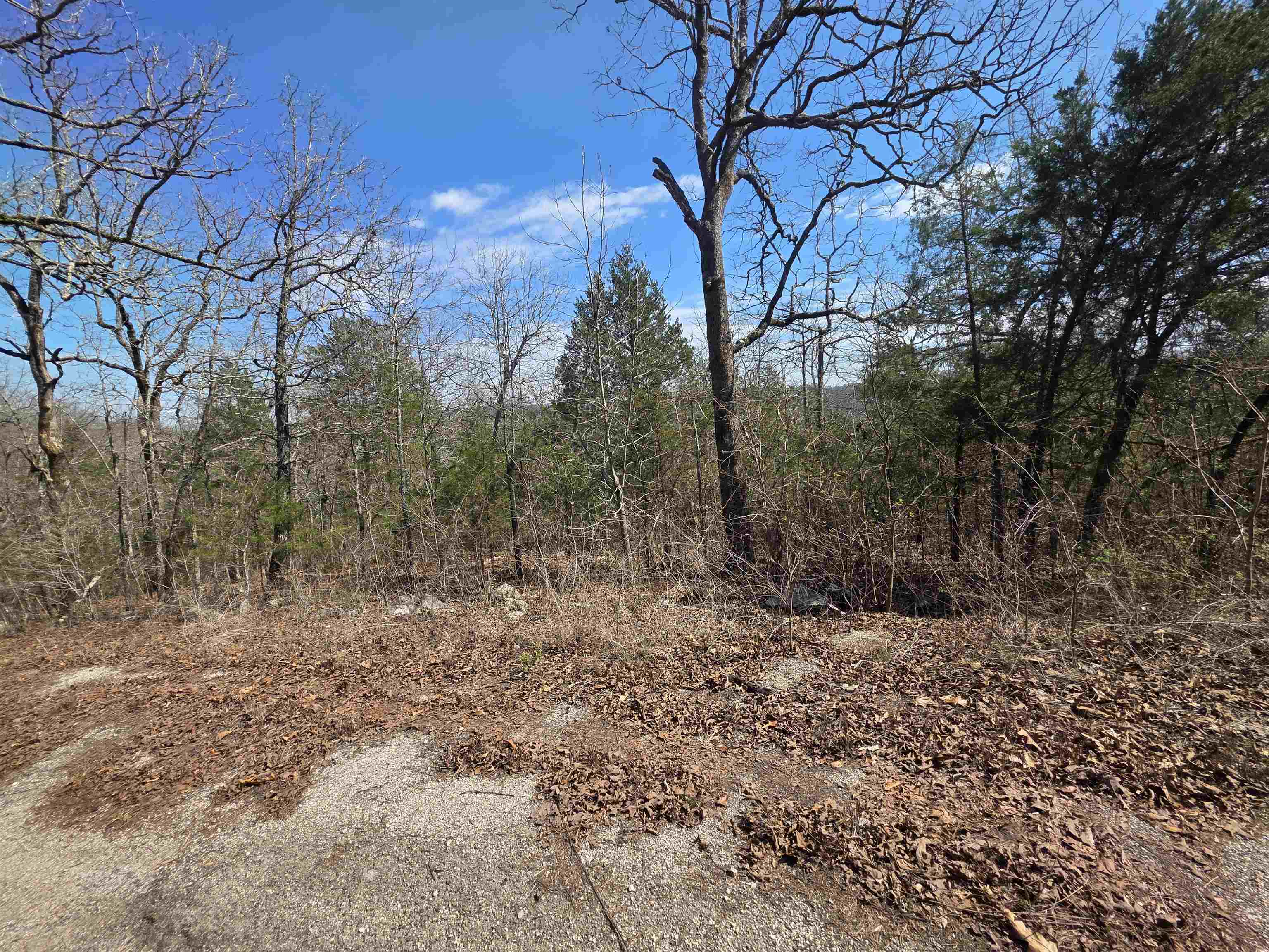Photo 3 - Vacant Land for sale – L13 B2  Deer Run   Cherokee Village, AR