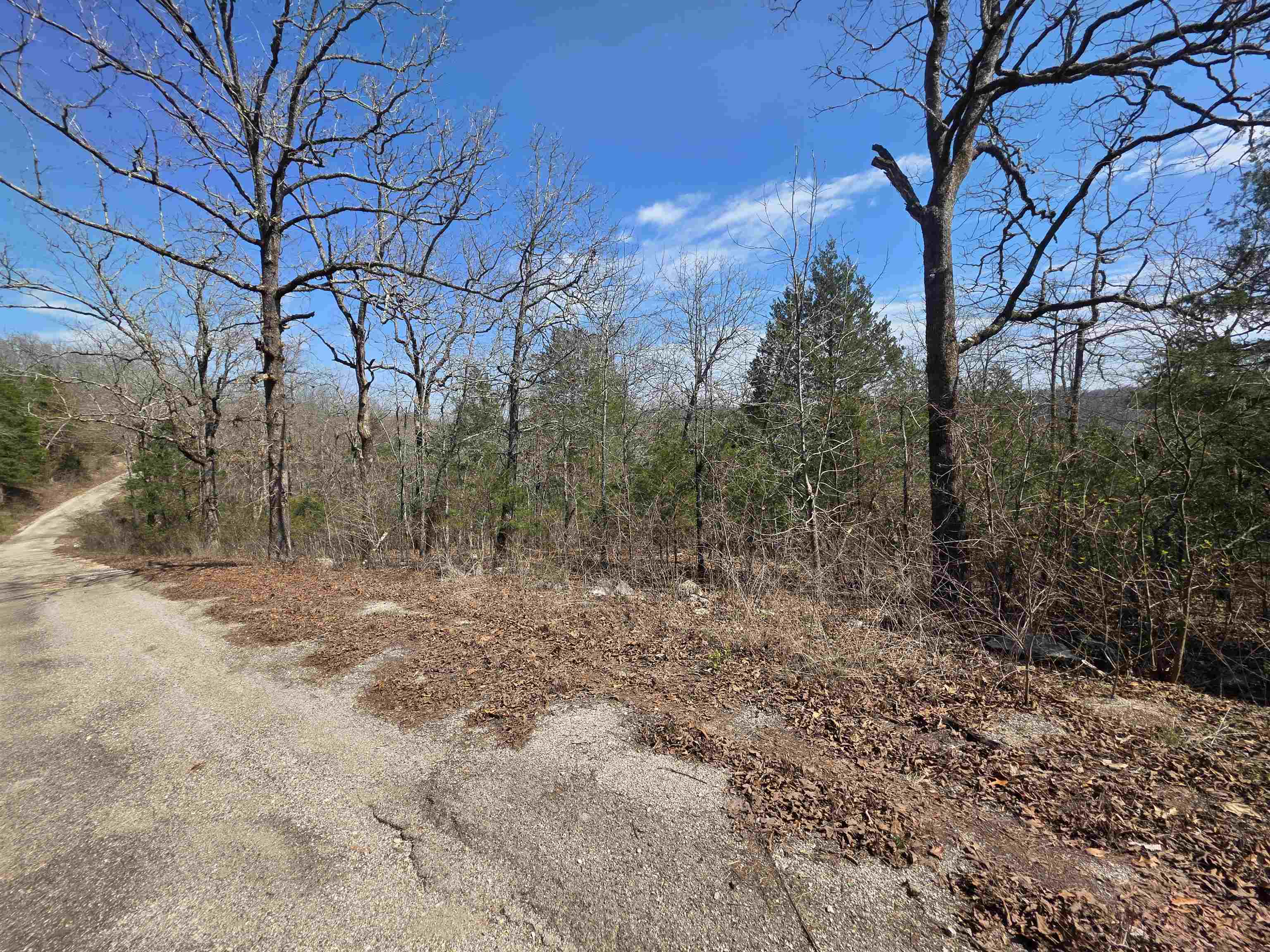 Photo 4 - Vacant Land for sale – L13 B2  Deer Run   Cherokee Village, AR