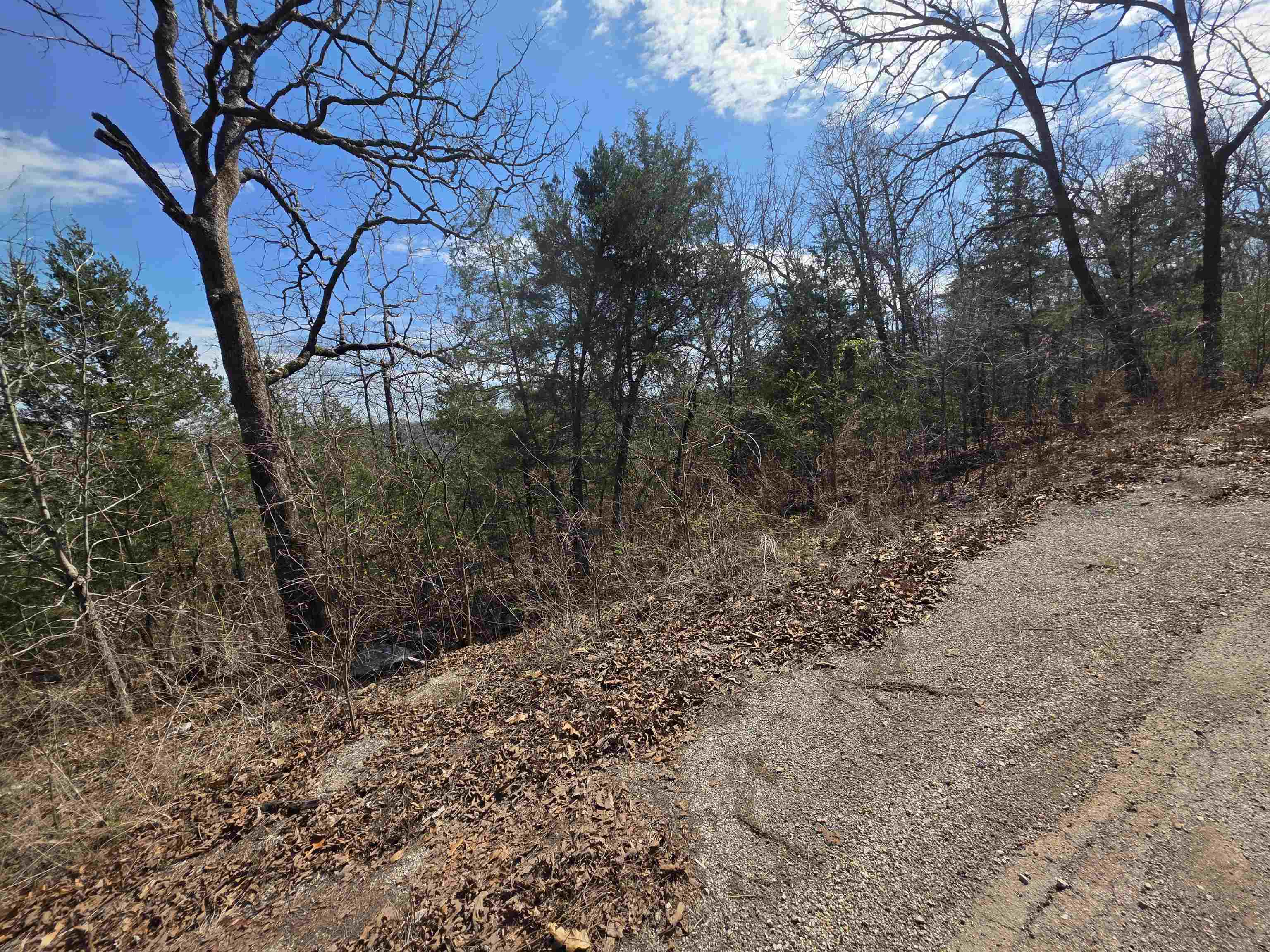 Photo 5 - Vacant Land for sale – L13 B2  Deer Run   Cherokee Village, AR