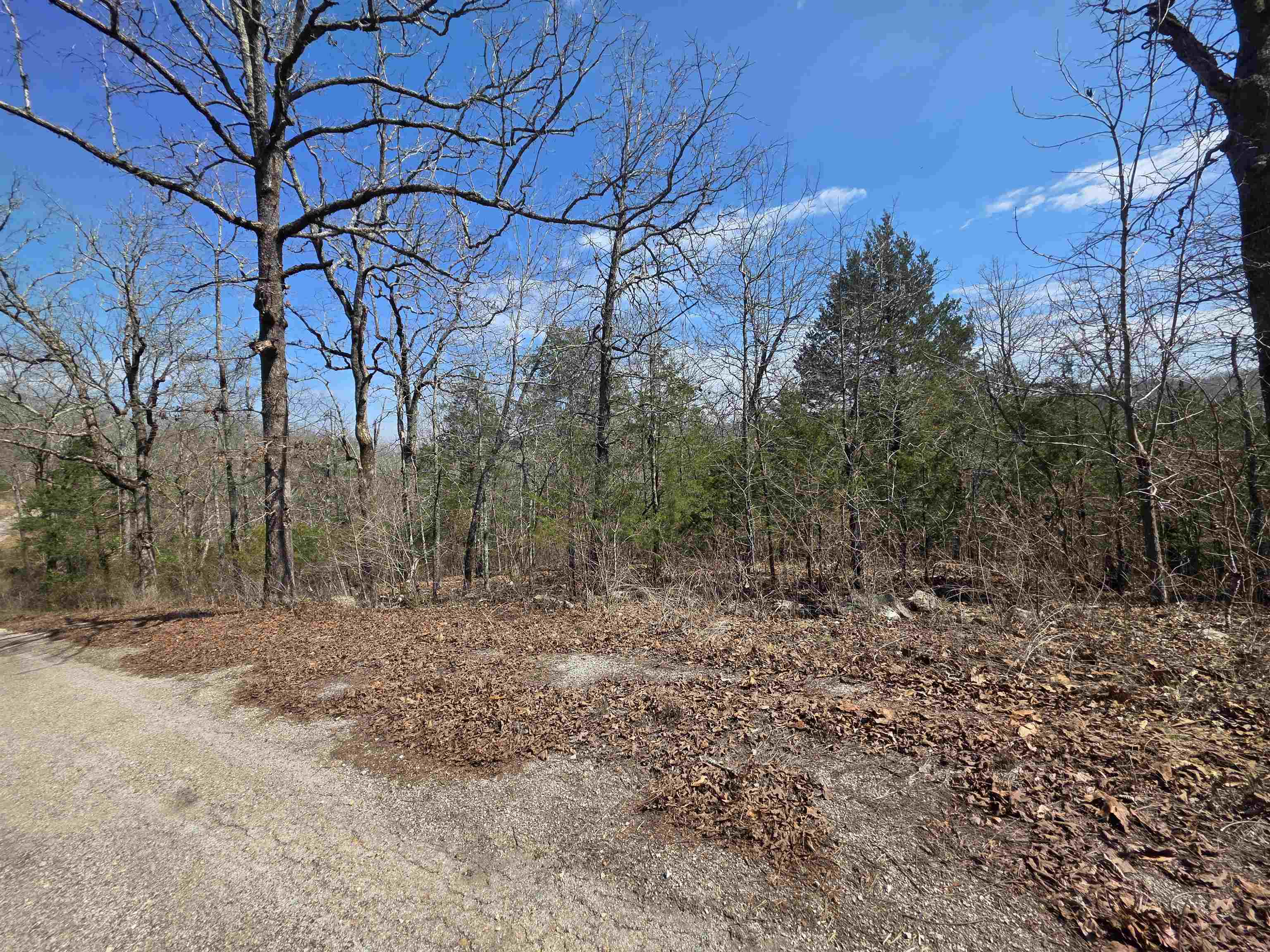 Photo 6 - Vacant Land for sale – L13 B2  Deer Run   Cherokee Village, AR