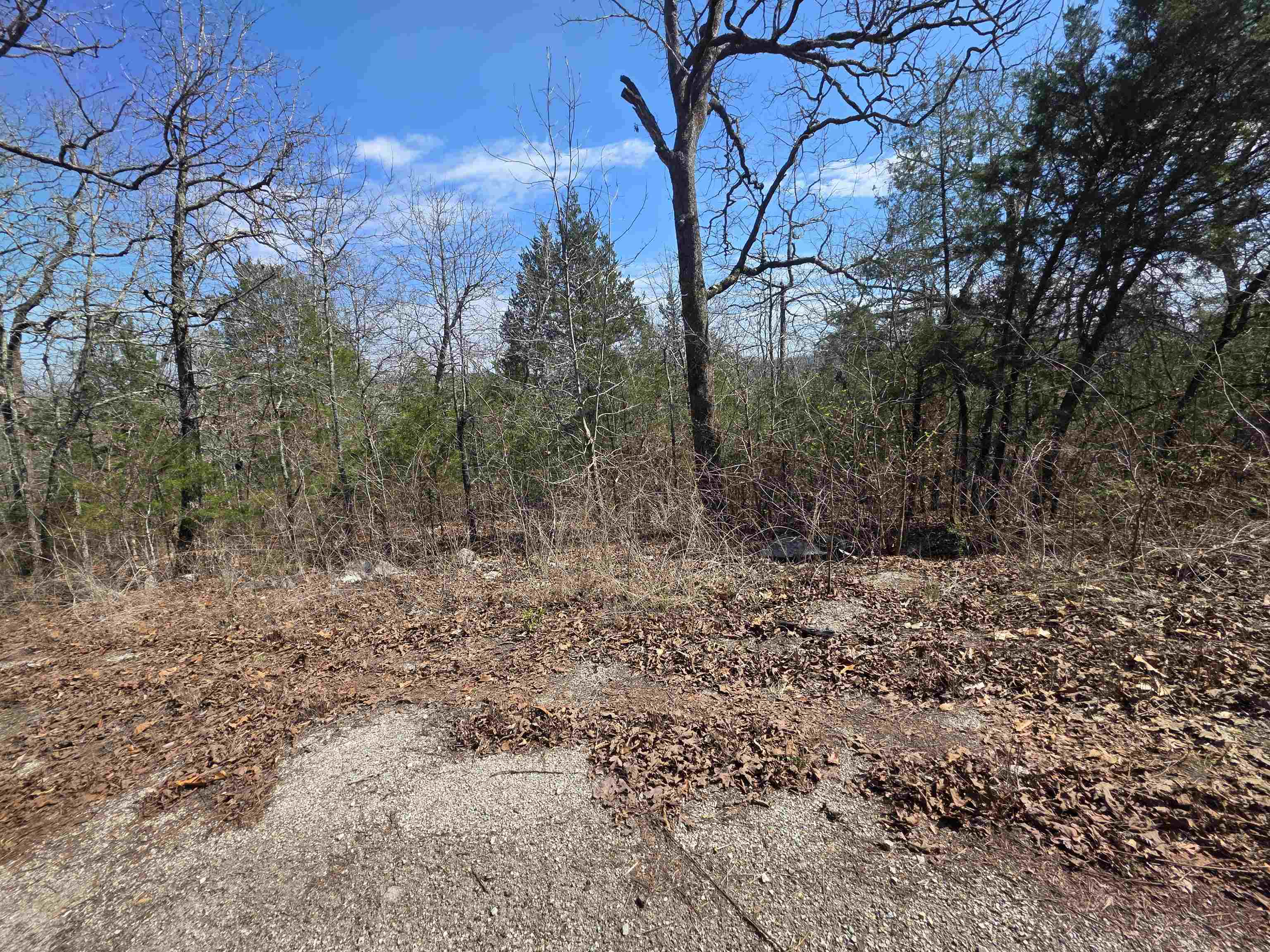 Photo 7 - Vacant Land for sale – L13 B2  Deer Run   Cherokee Village, AR