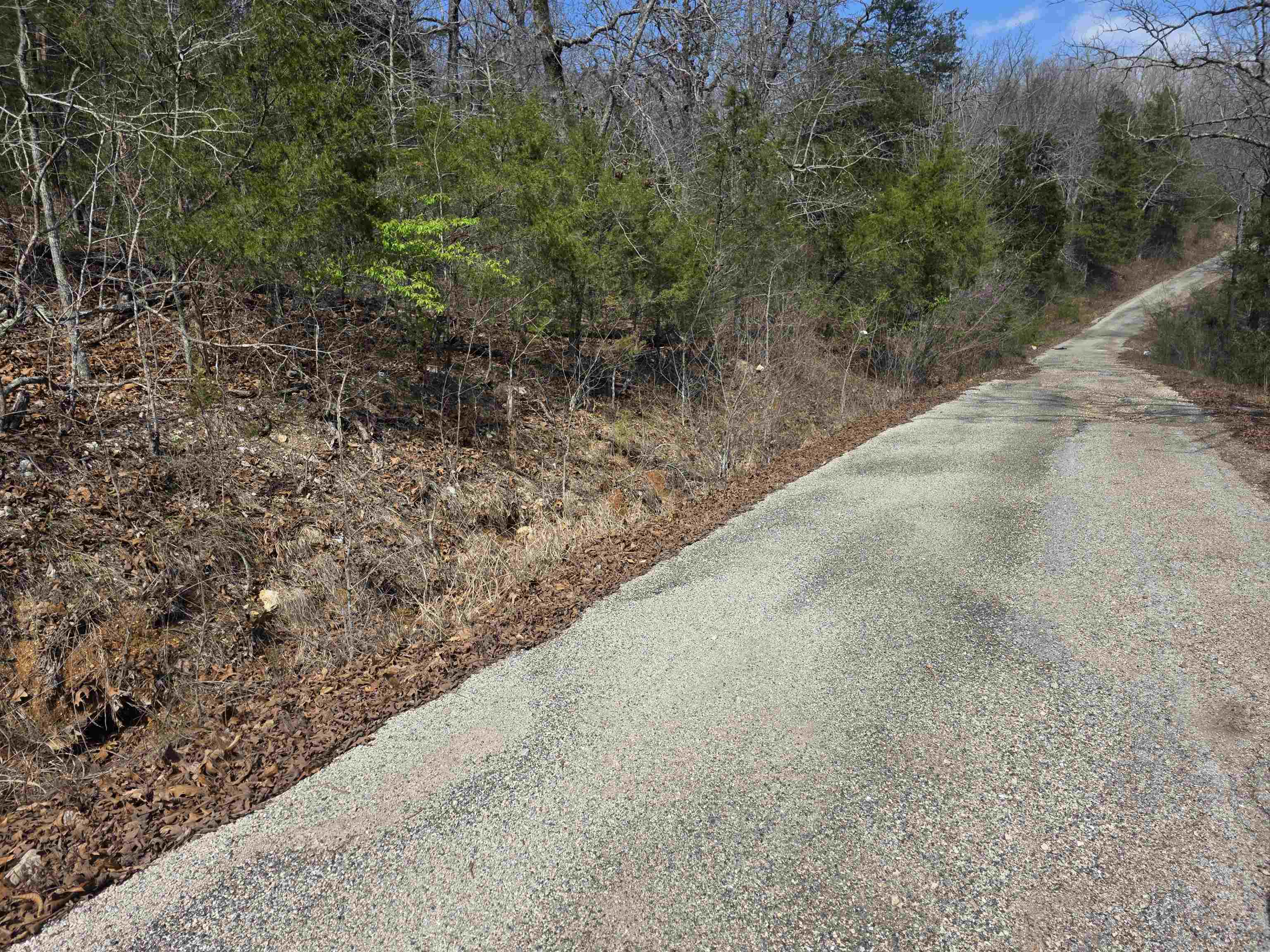Photo 2 - Vacant Land for sale – L12 B1  Deer Run   Cherokee Village, AR