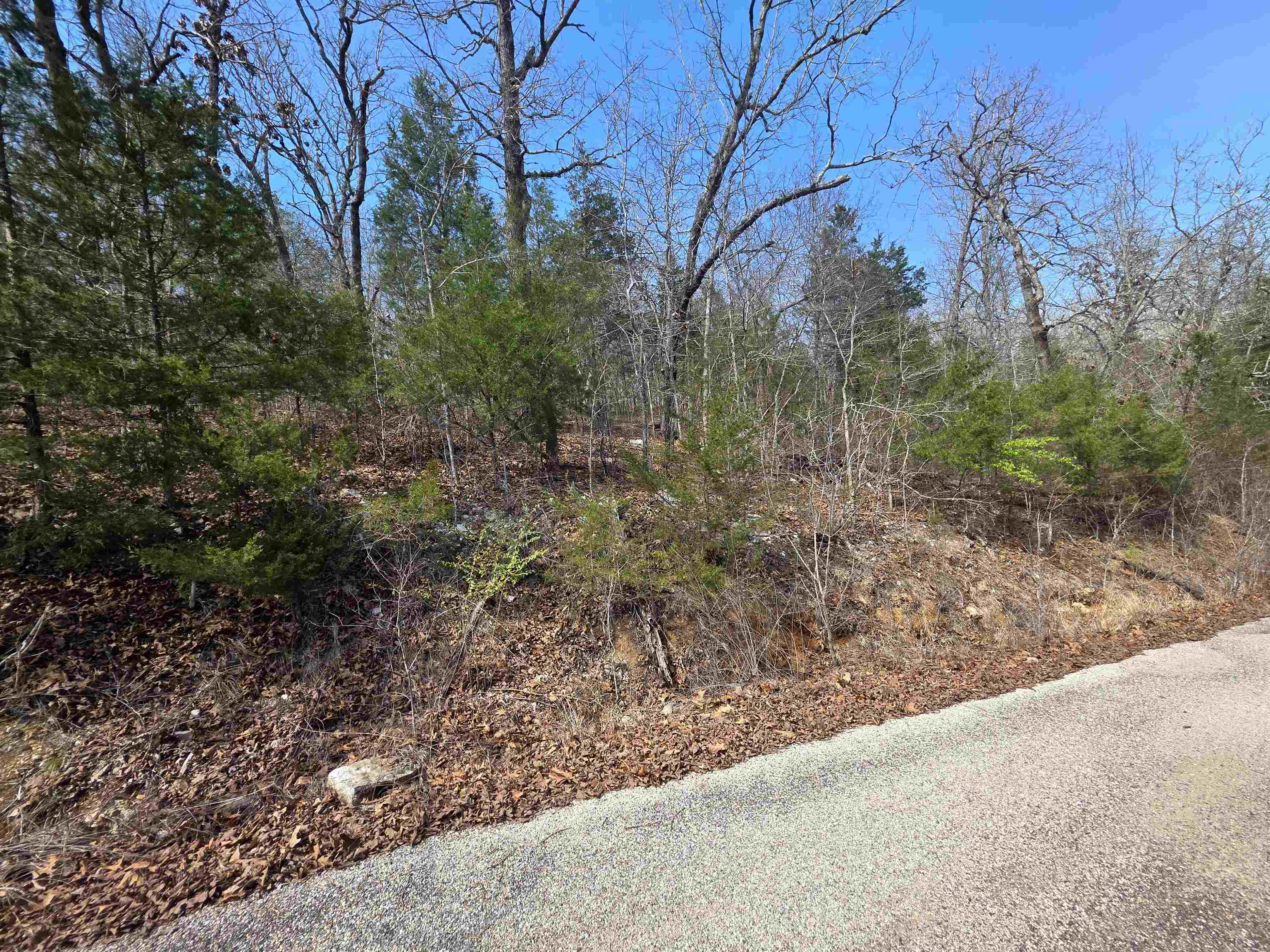 Photo 11 - Vacant Land for sale – L12 B1  Deer Run   Cherokee Village, AR