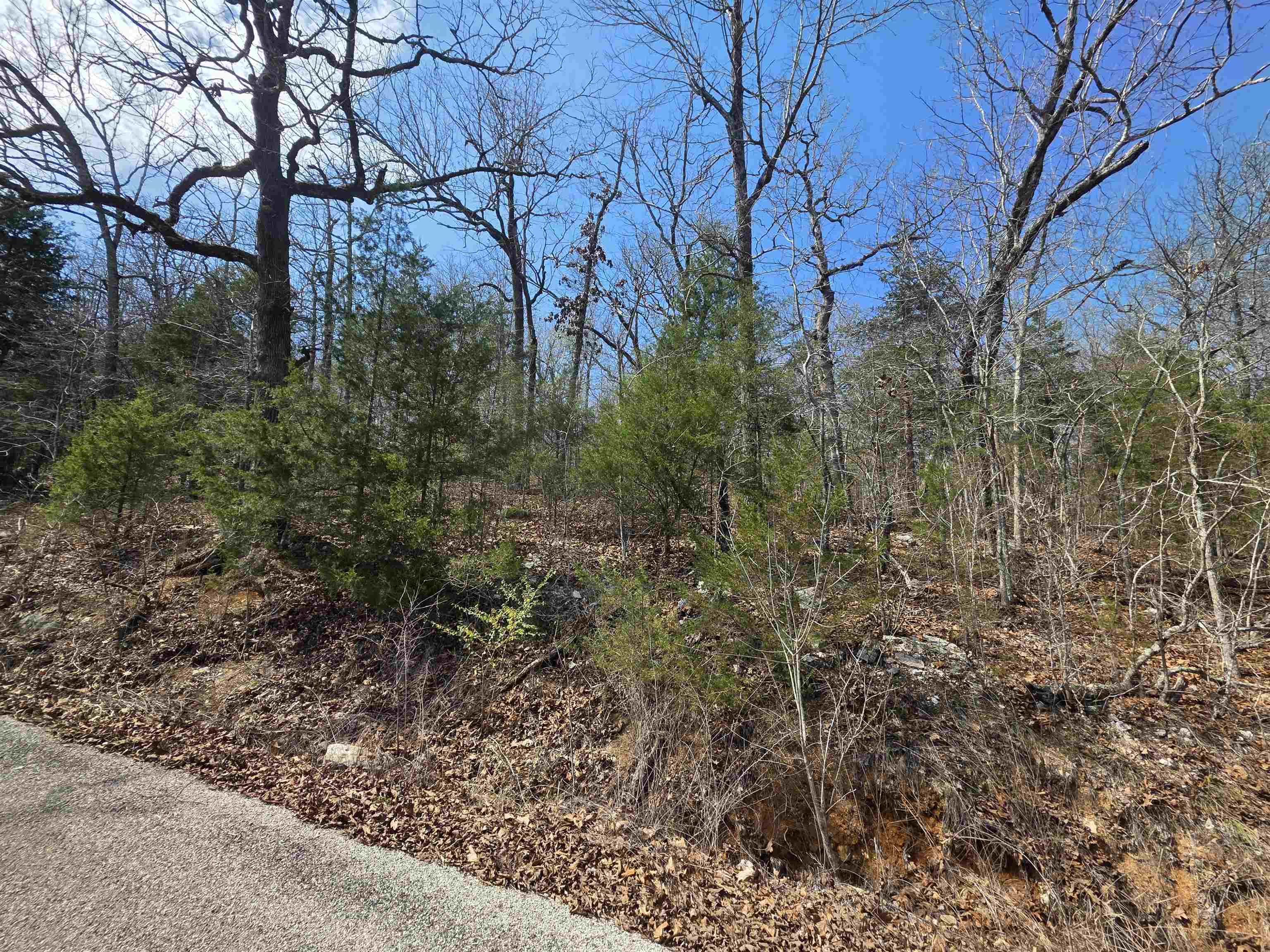 Photo 5 - Vacant Land for sale – L12 B1  Deer Run   Cherokee Village, AR