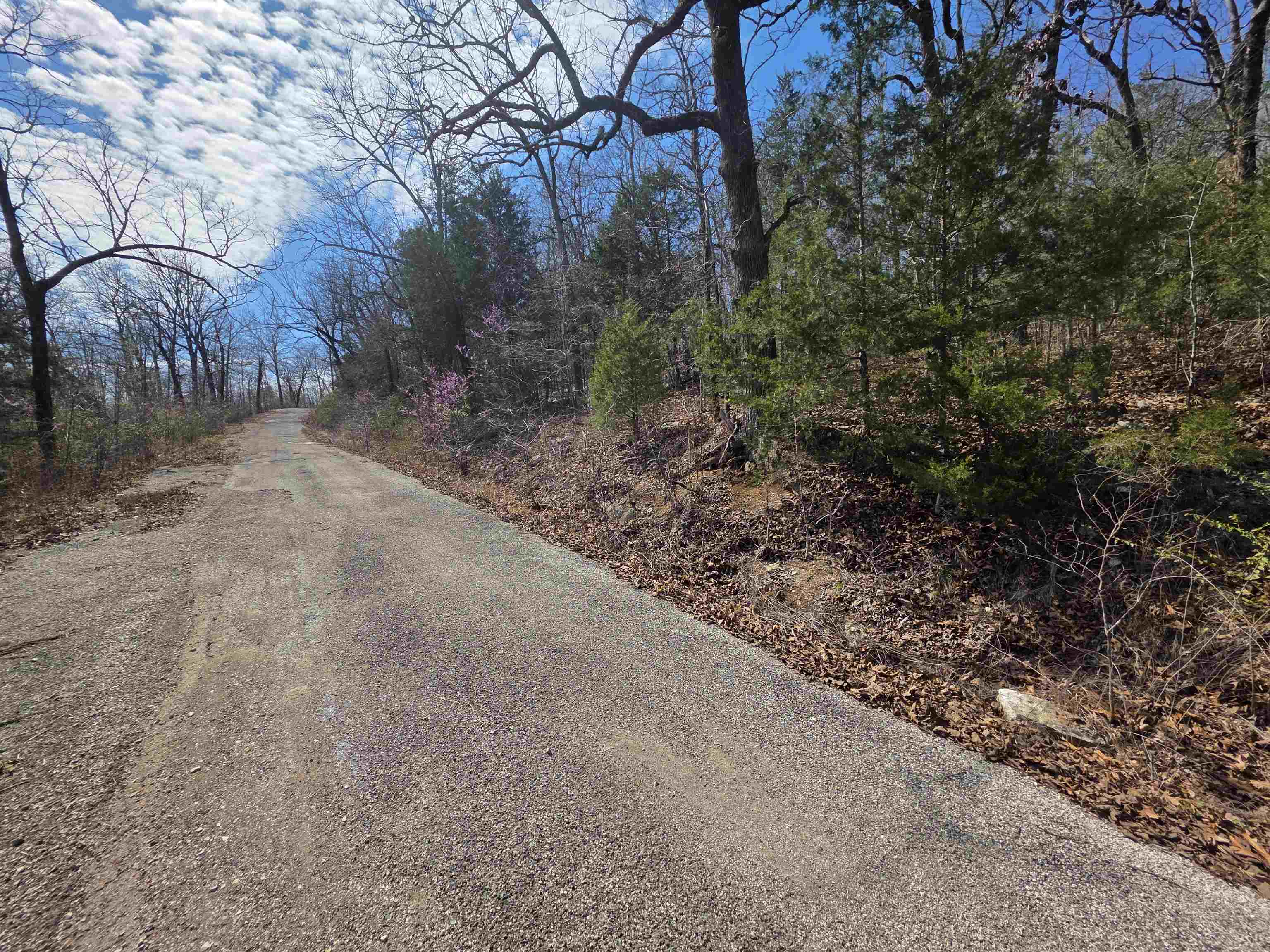 Photo 6 - Vacant Land for sale – L12 B1  Deer Run   Cherokee Village, AR