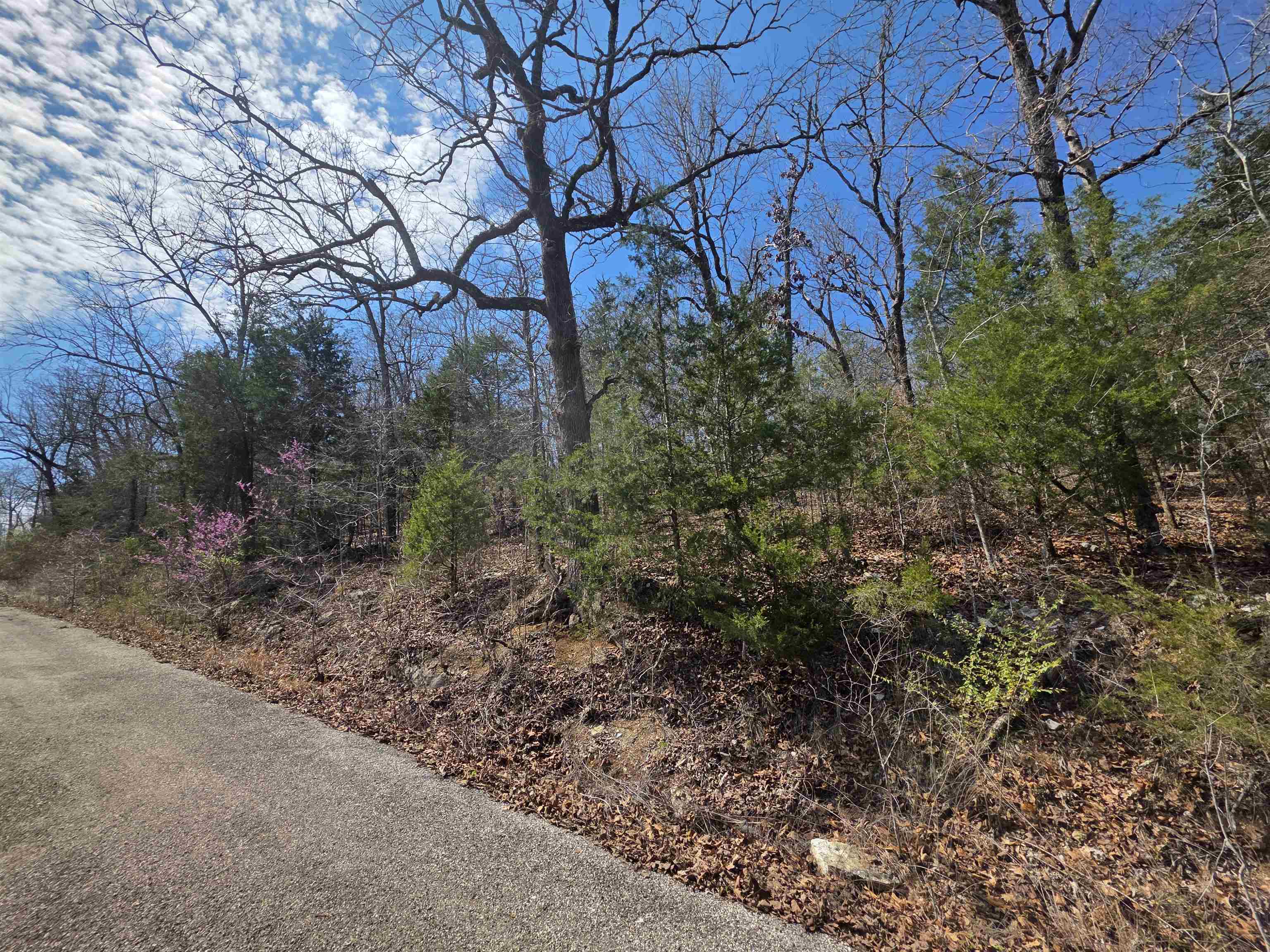 Photo 7 - Vacant Land for sale – L12 B1  Deer Run   Cherokee Village, AR