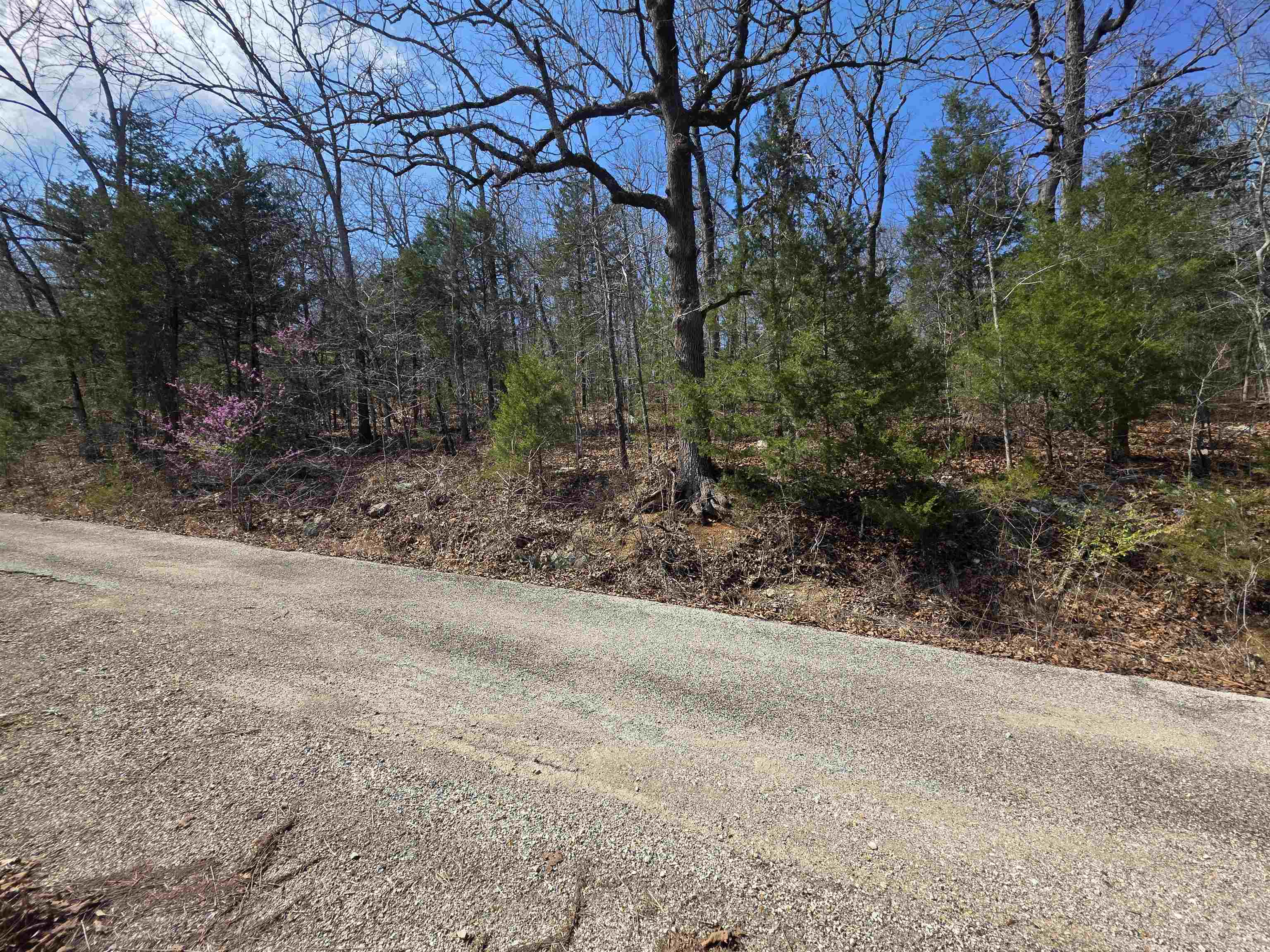 Photo 8 - Vacant Land for sale – L12 B1  Deer Run   Cherokee Village, AR