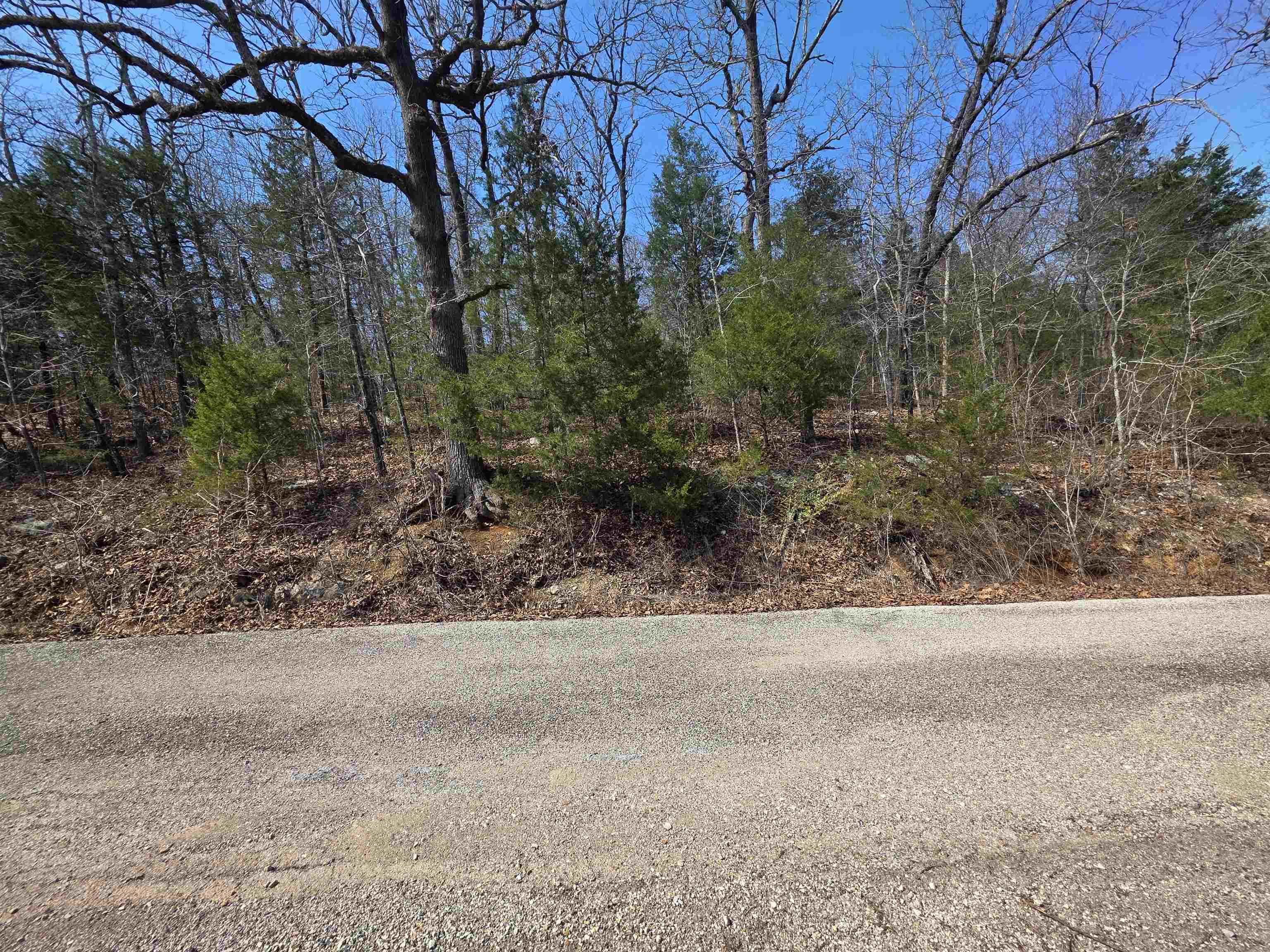 Photo 9 - Vacant Land for sale – L12 B1  Deer Run   Cherokee Village, AR