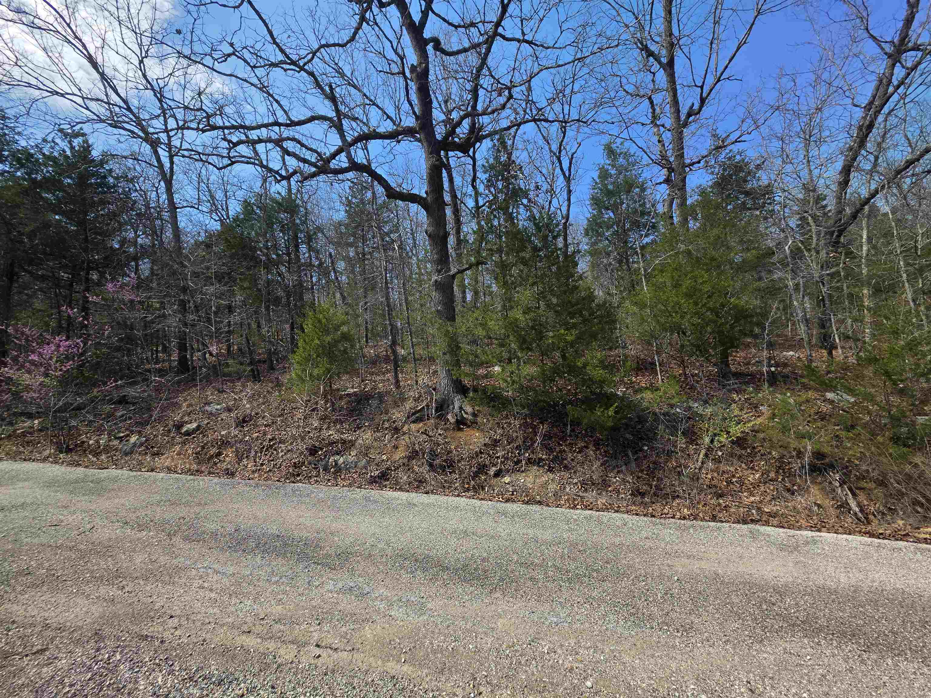 Photo 10 - Vacant Land for sale – L12 B1  Deer Run   Cherokee Village, AR