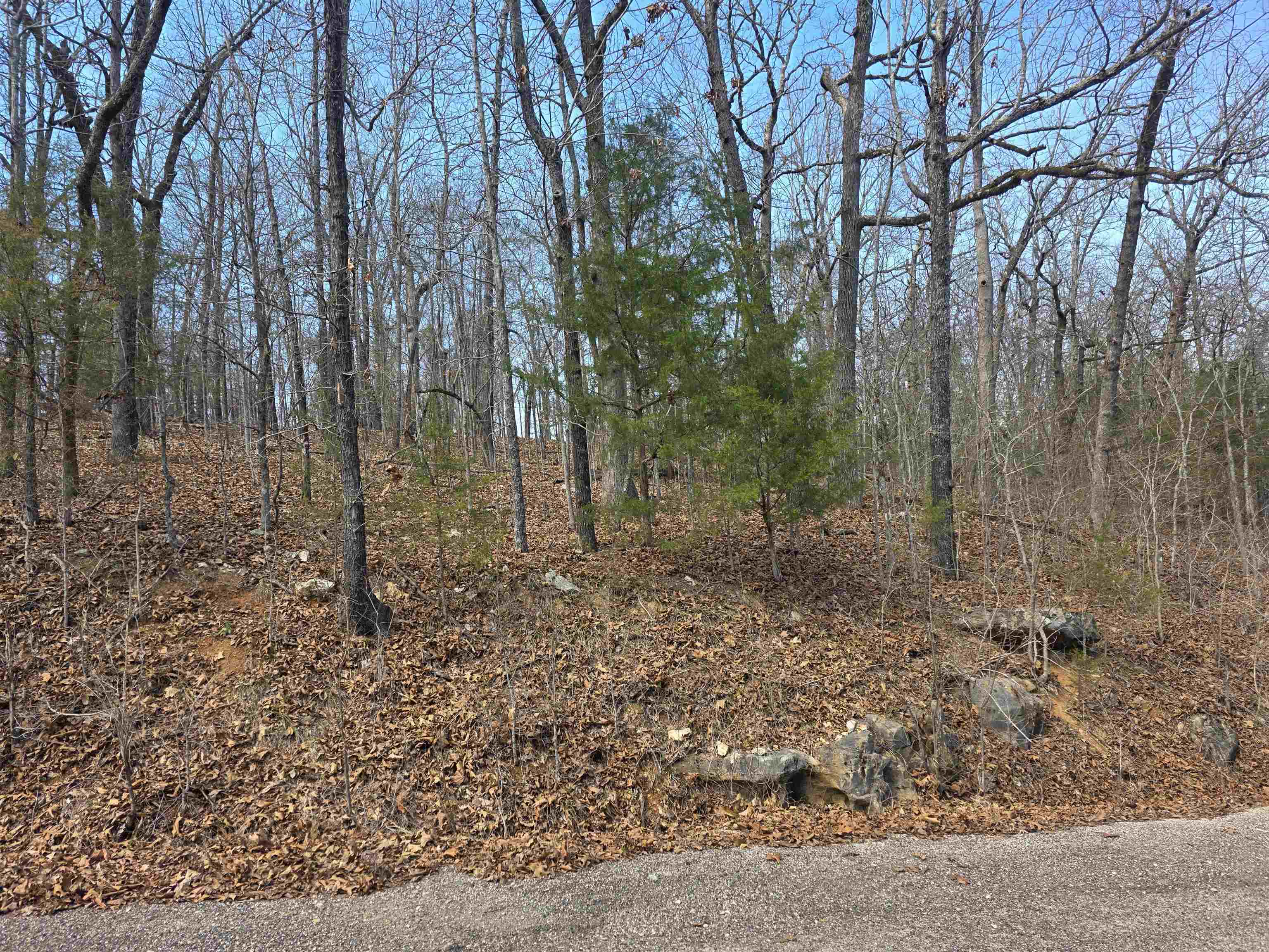 Vacant Land for sale – L6 B1  Deer Run   Cherokee Village, AR