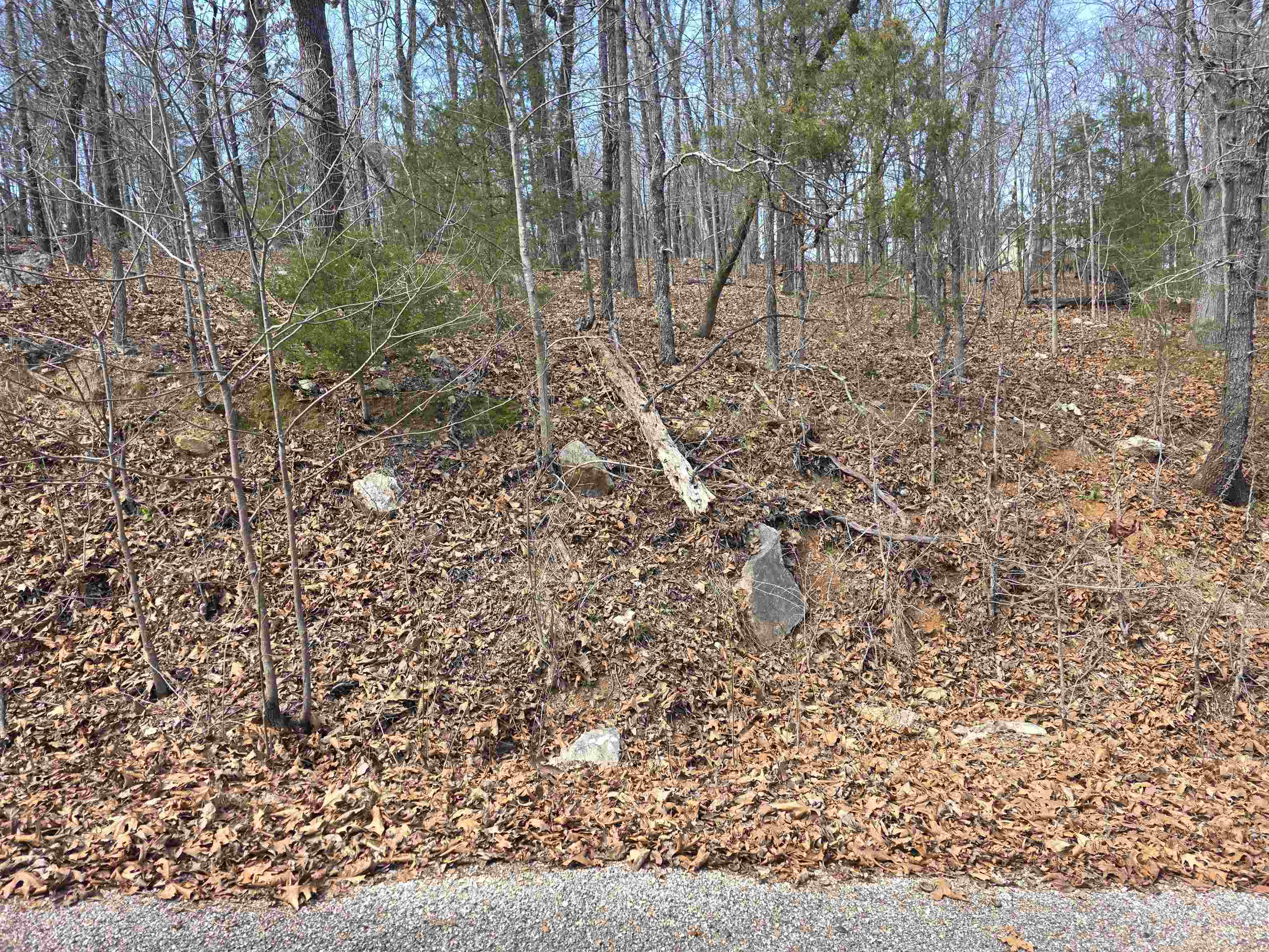 Photo 2 - Vacant Land for sale – L6 B1  Deer Run   Cherokee Village, AR
