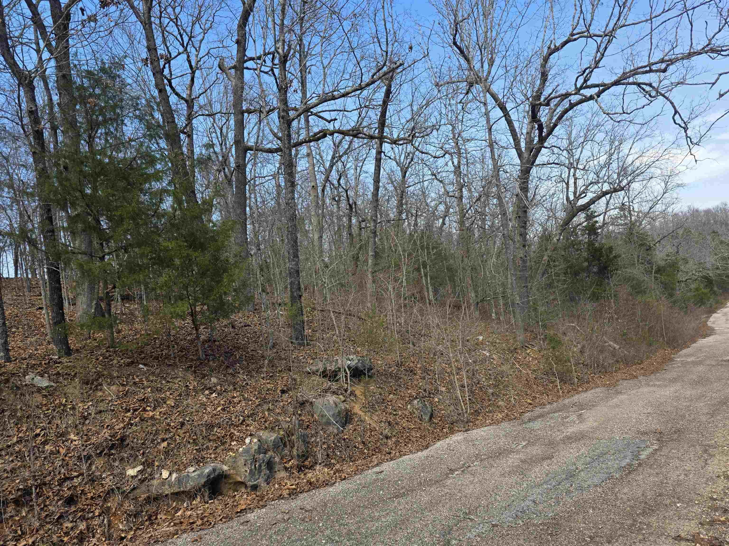 Photo 11 - Vacant Land for sale – L6 B1  Deer Run   Cherokee Village, AR