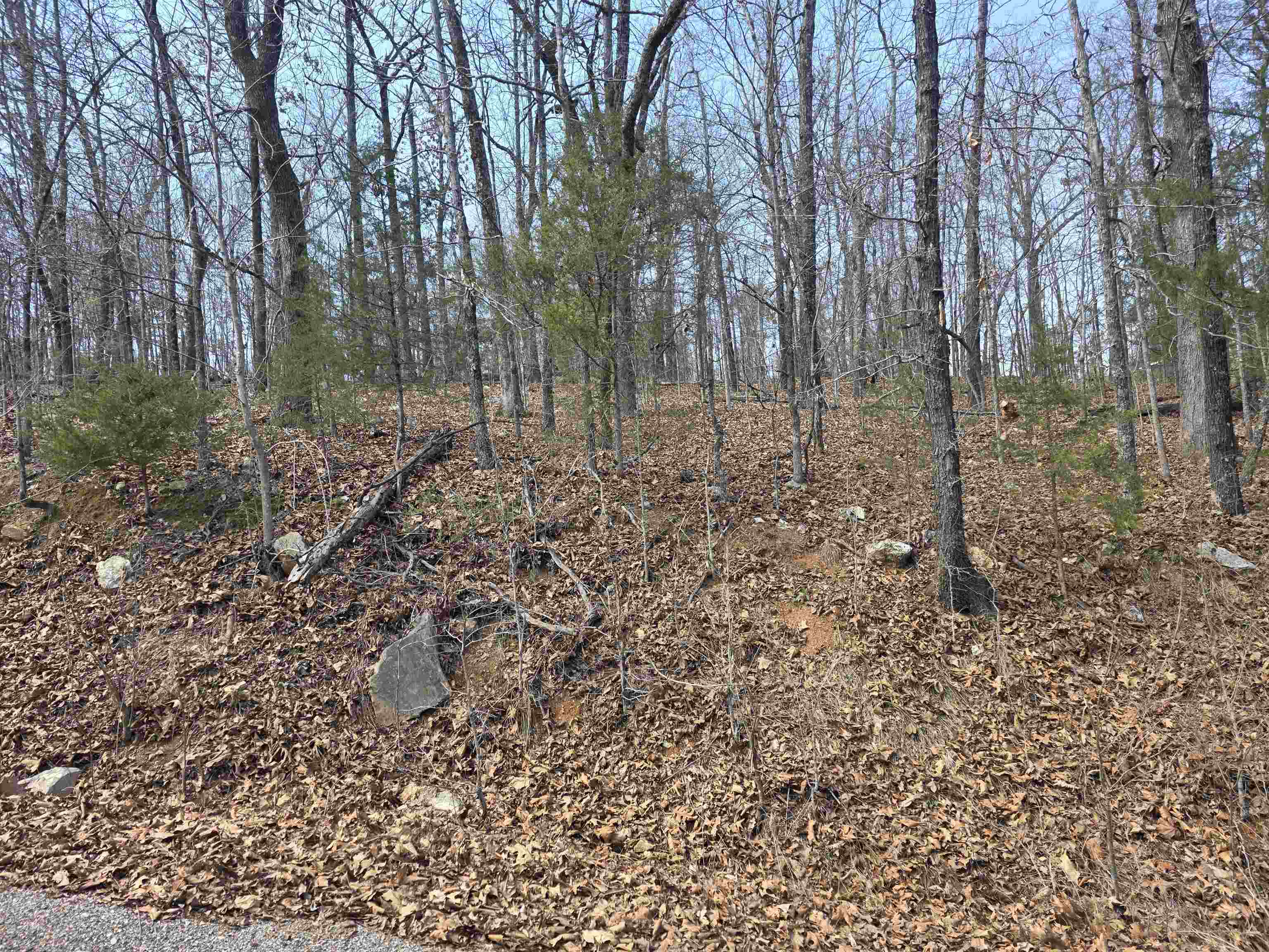 Photo 12 - Vacant Land for sale – L6 B1  Deer Run   Cherokee Village, AR