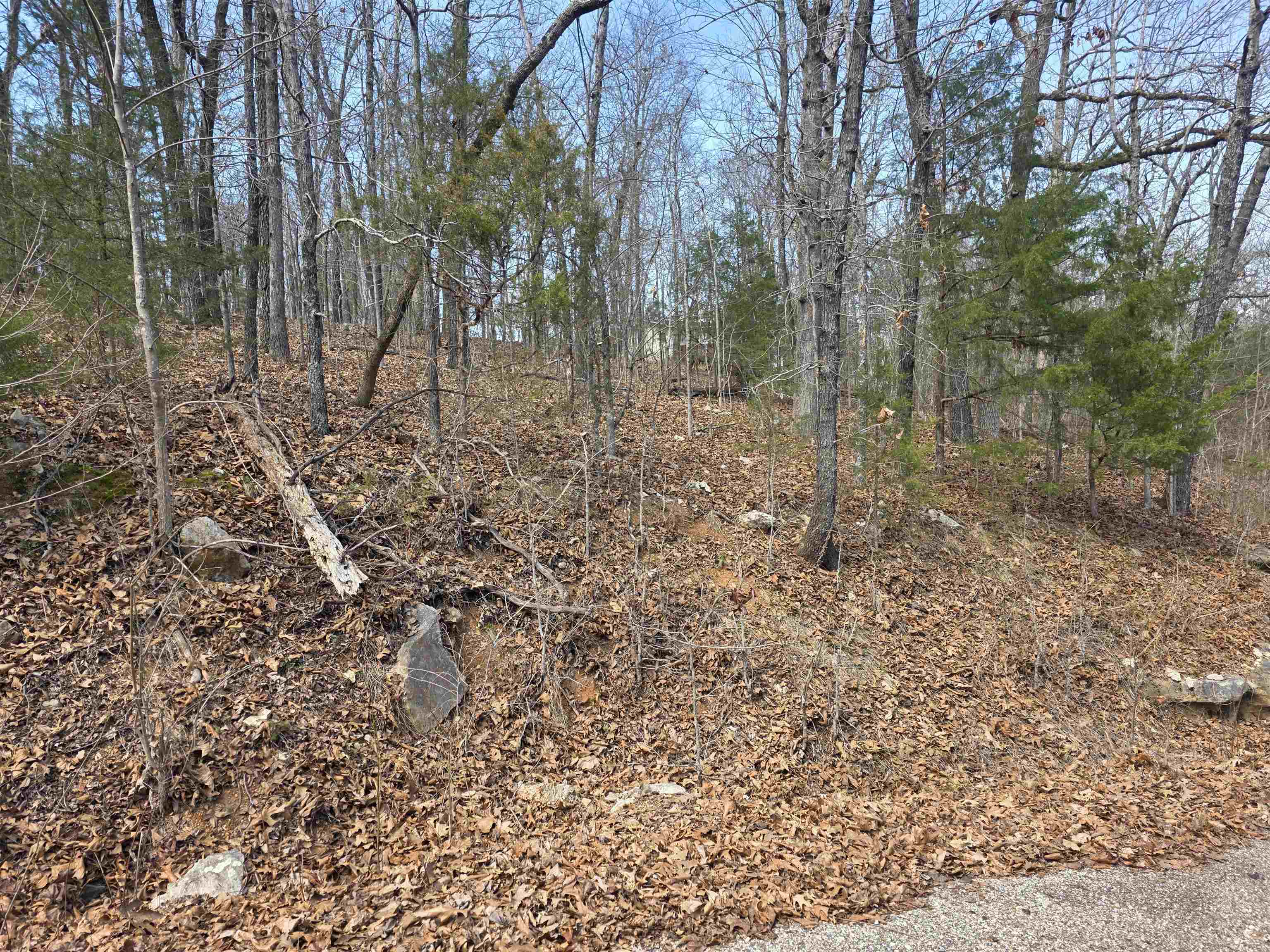 Photo 3 - Vacant Land for sale – L6 B1  Deer Run   Cherokee Village, AR