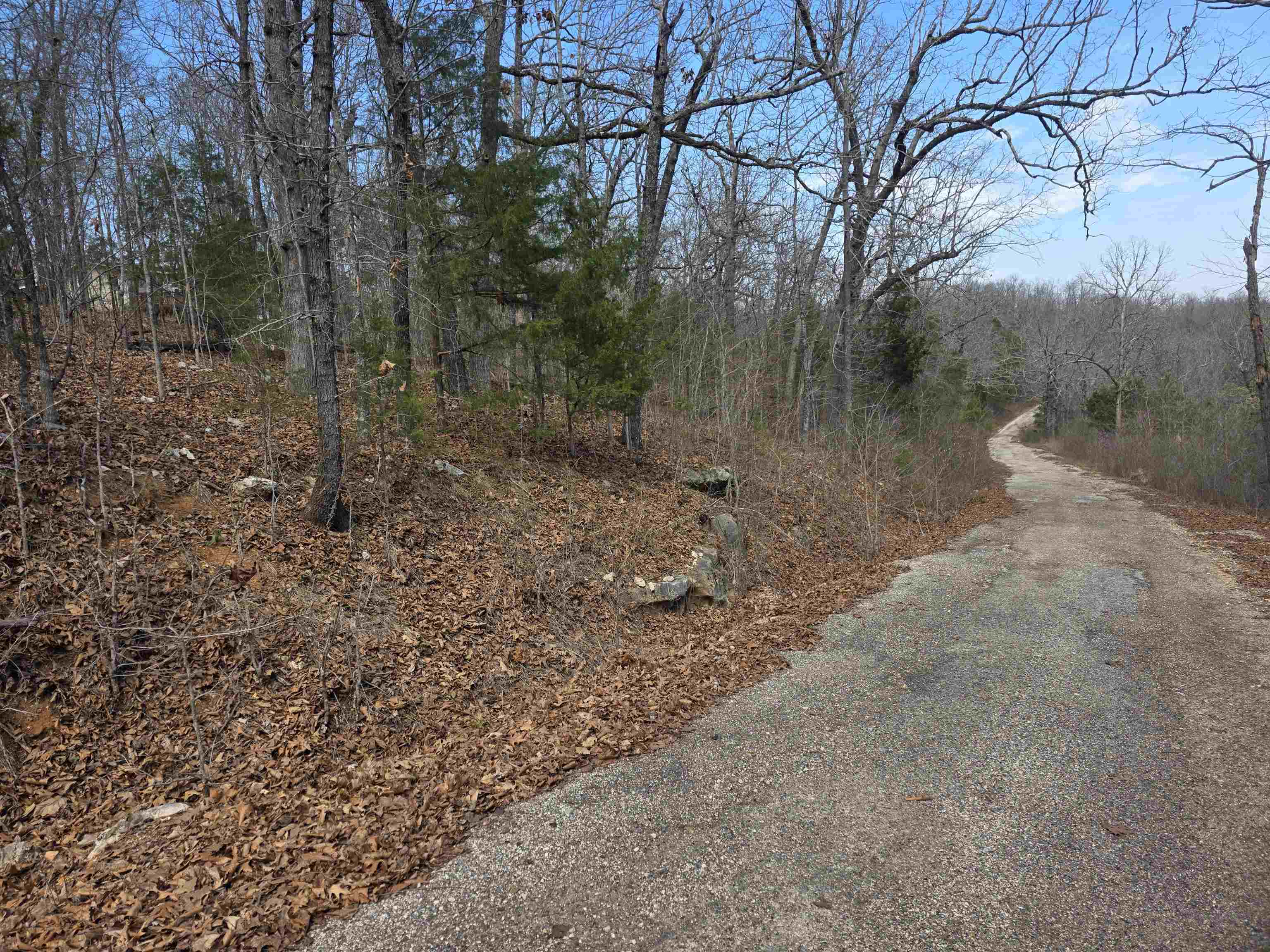 Photo 4 - Vacant Land for sale – L6 B1  Deer Run   Cherokee Village, AR