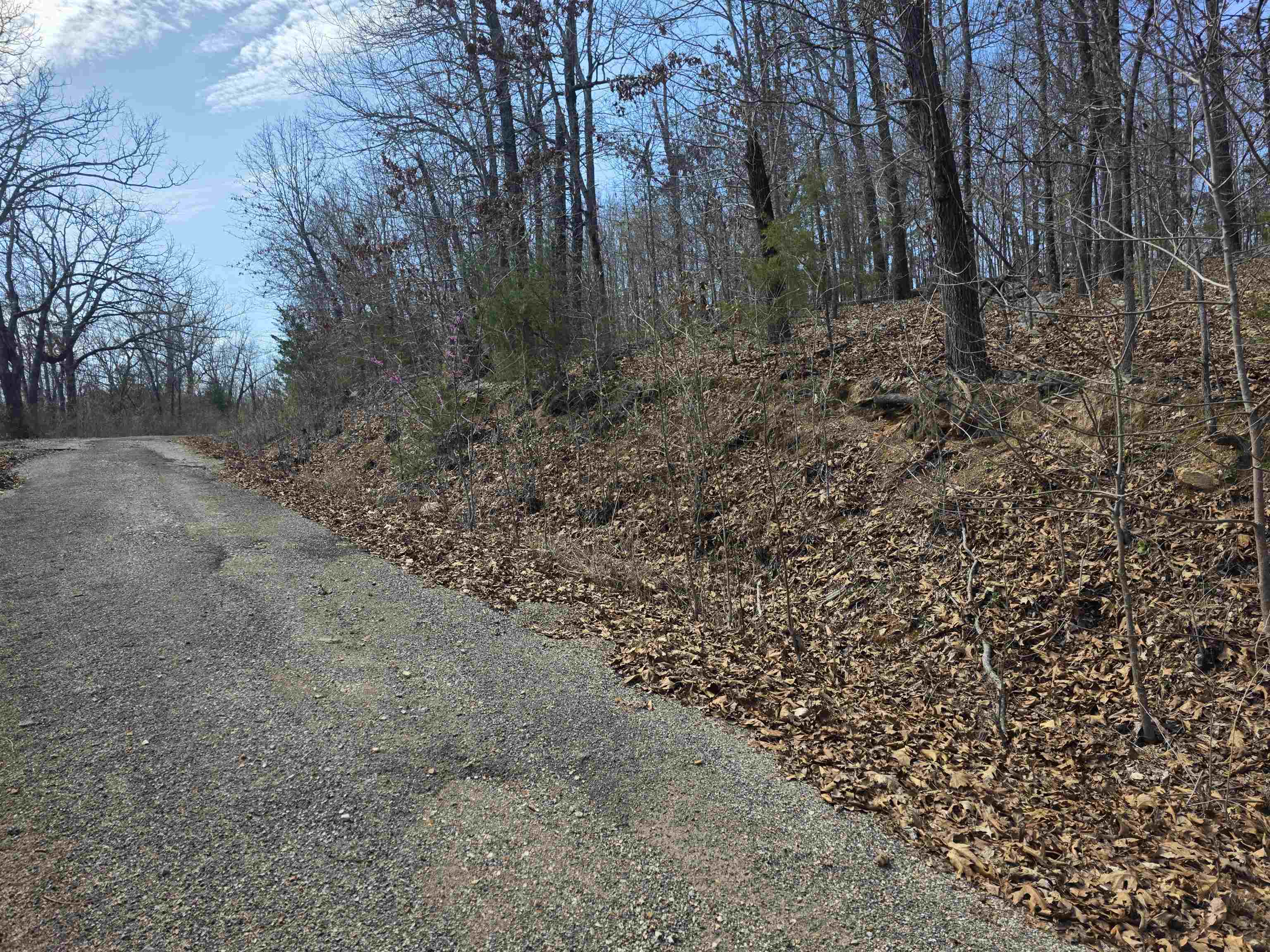 Photo 5 - Vacant Land for sale – L6 B1  Deer Run   Cherokee Village, AR