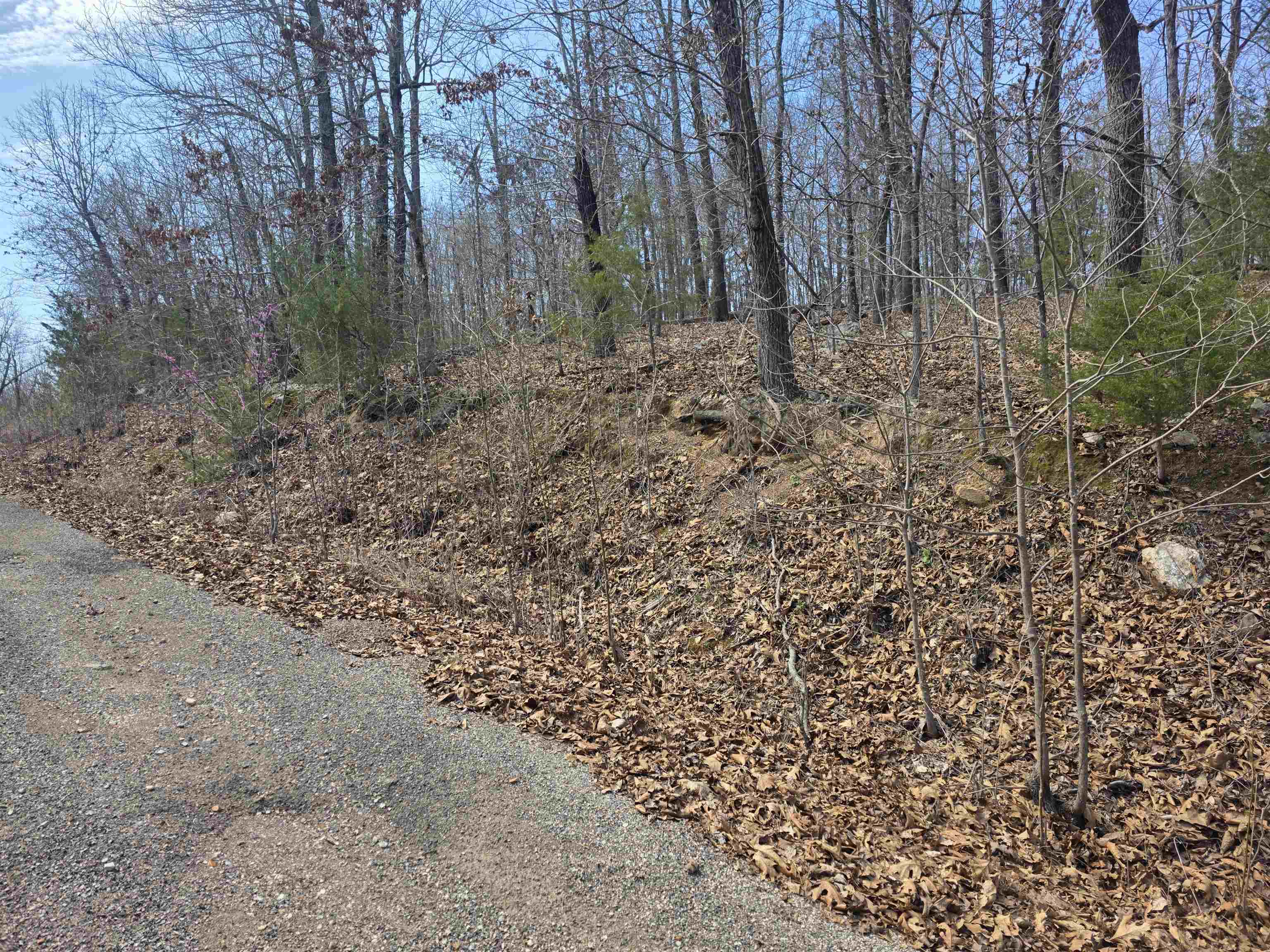 Photo 6 - Vacant Land for sale – L6 B1  Deer Run   Cherokee Village, AR