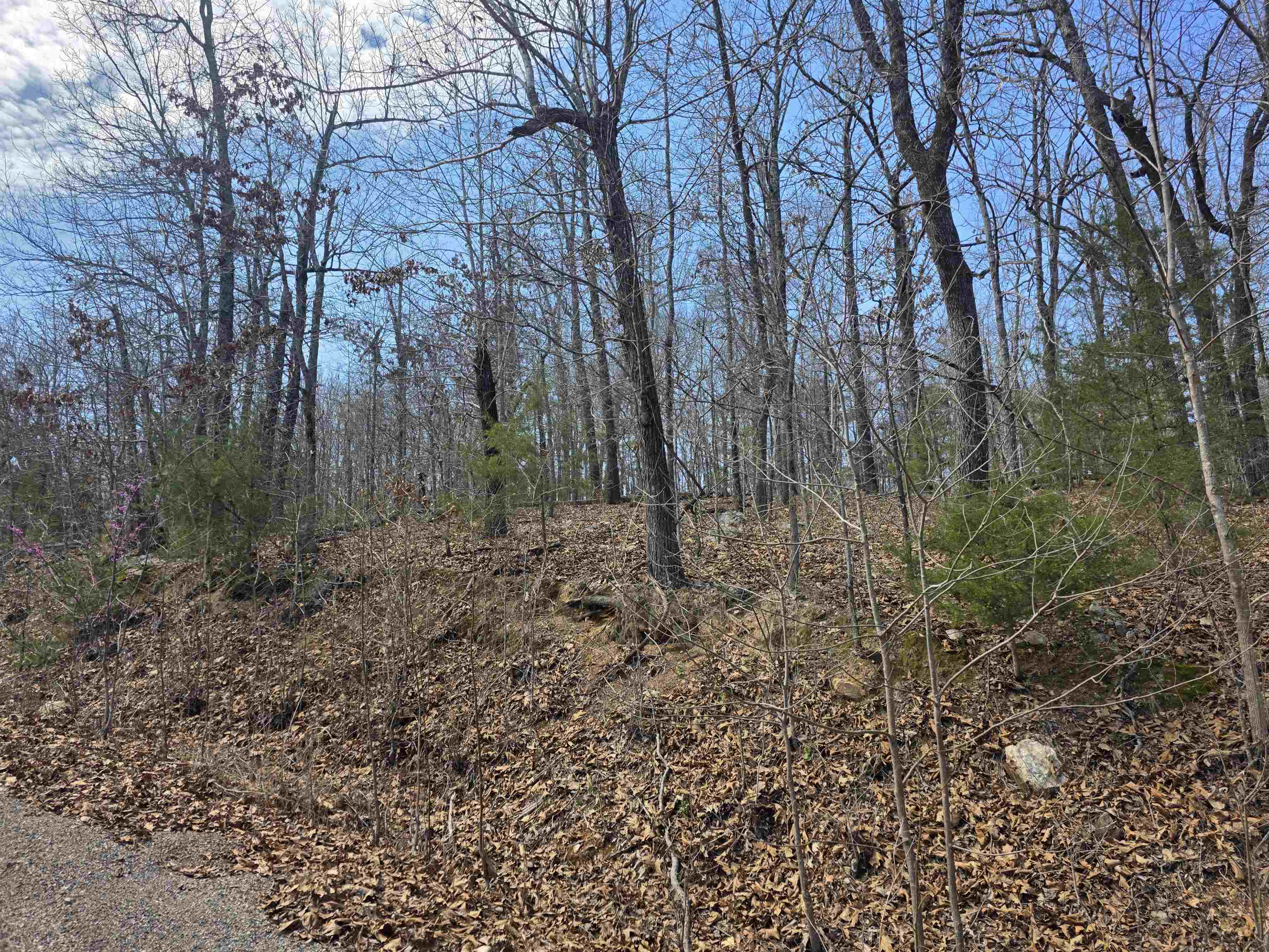 Photo 7 - Vacant Land for sale – L6 B1  Deer Run   Cherokee Village, AR