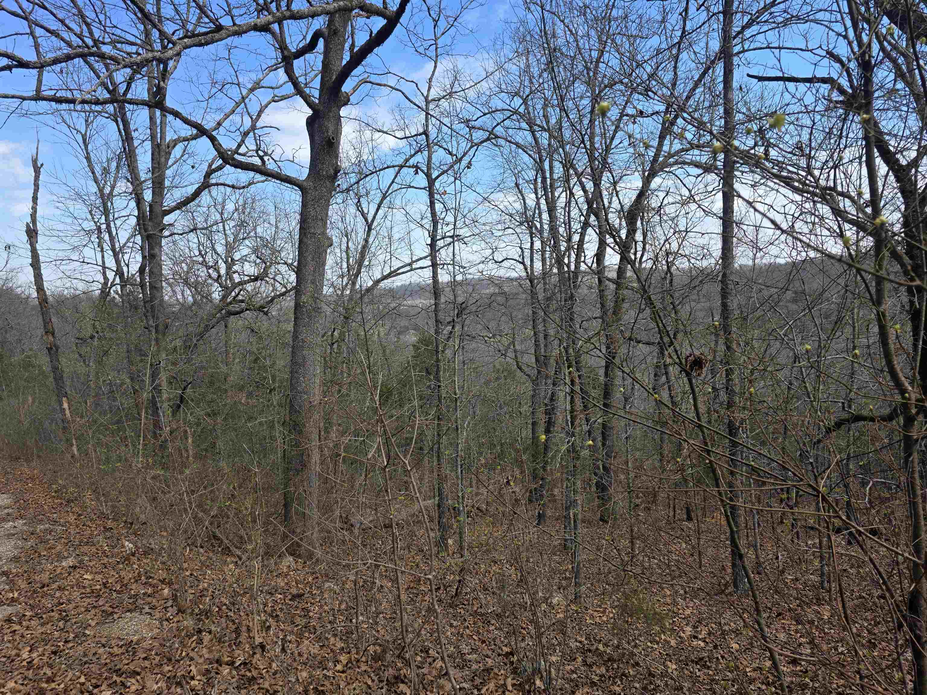 Photo 8 - Vacant Land for sale – L6 B1  Deer Run   Cherokee Village, AR