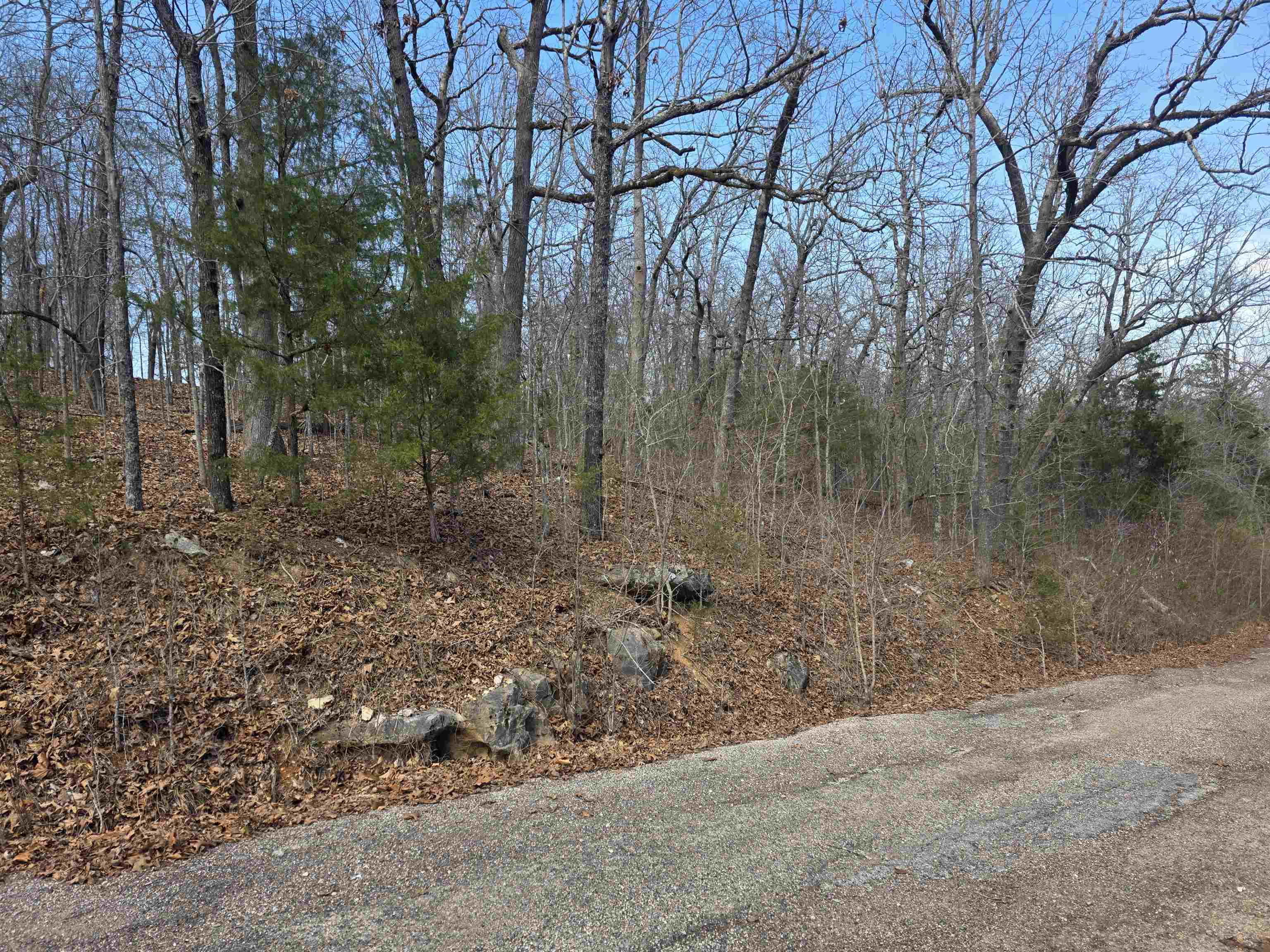 Photo 9 - Vacant Land for sale – L6 B1  Deer Run   Cherokee Village, AR