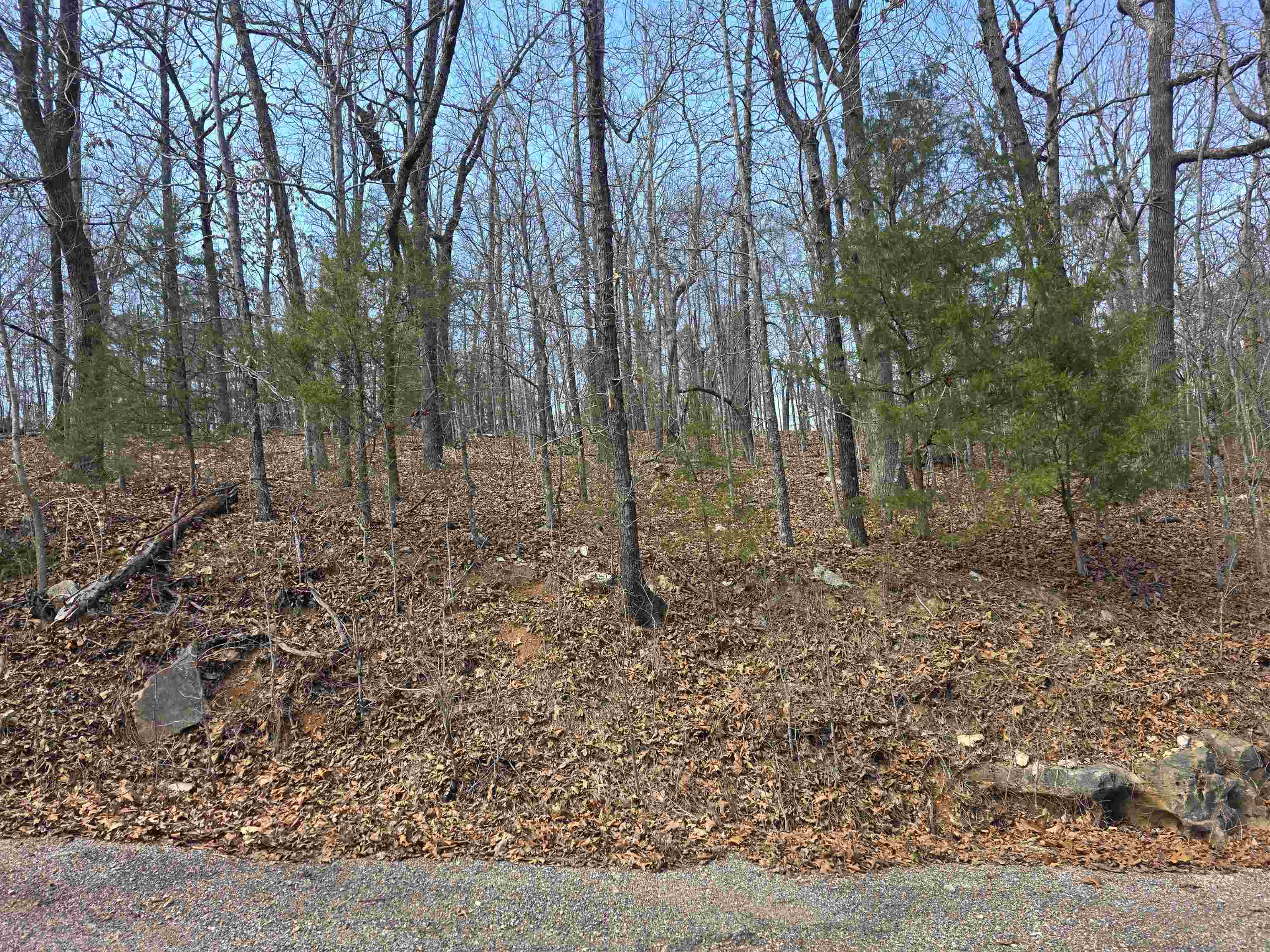 Photo 10 - Vacant Land for sale – L6 B1  Deer Run   Cherokee Village, AR